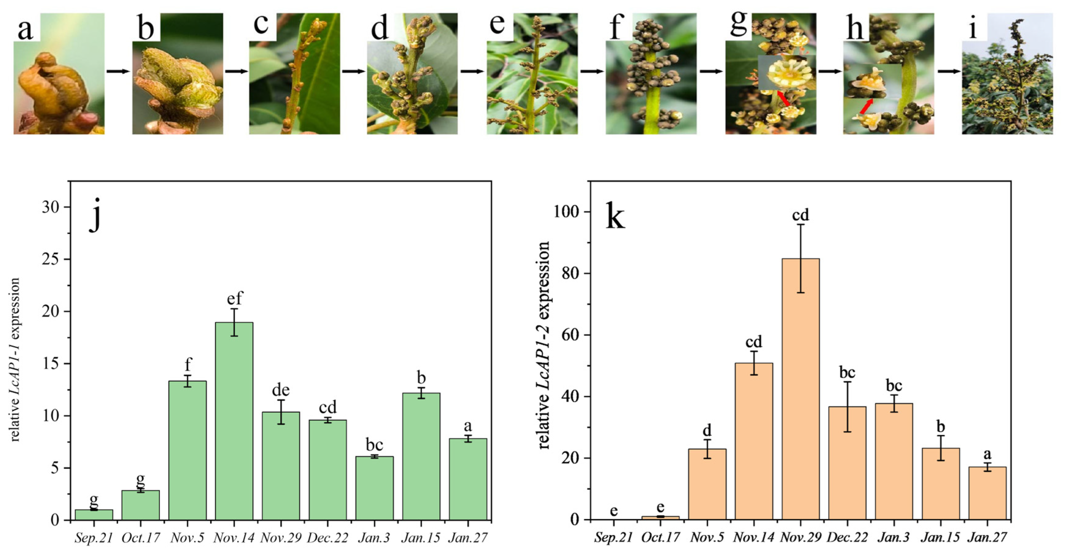 Plants 14 02697 g008