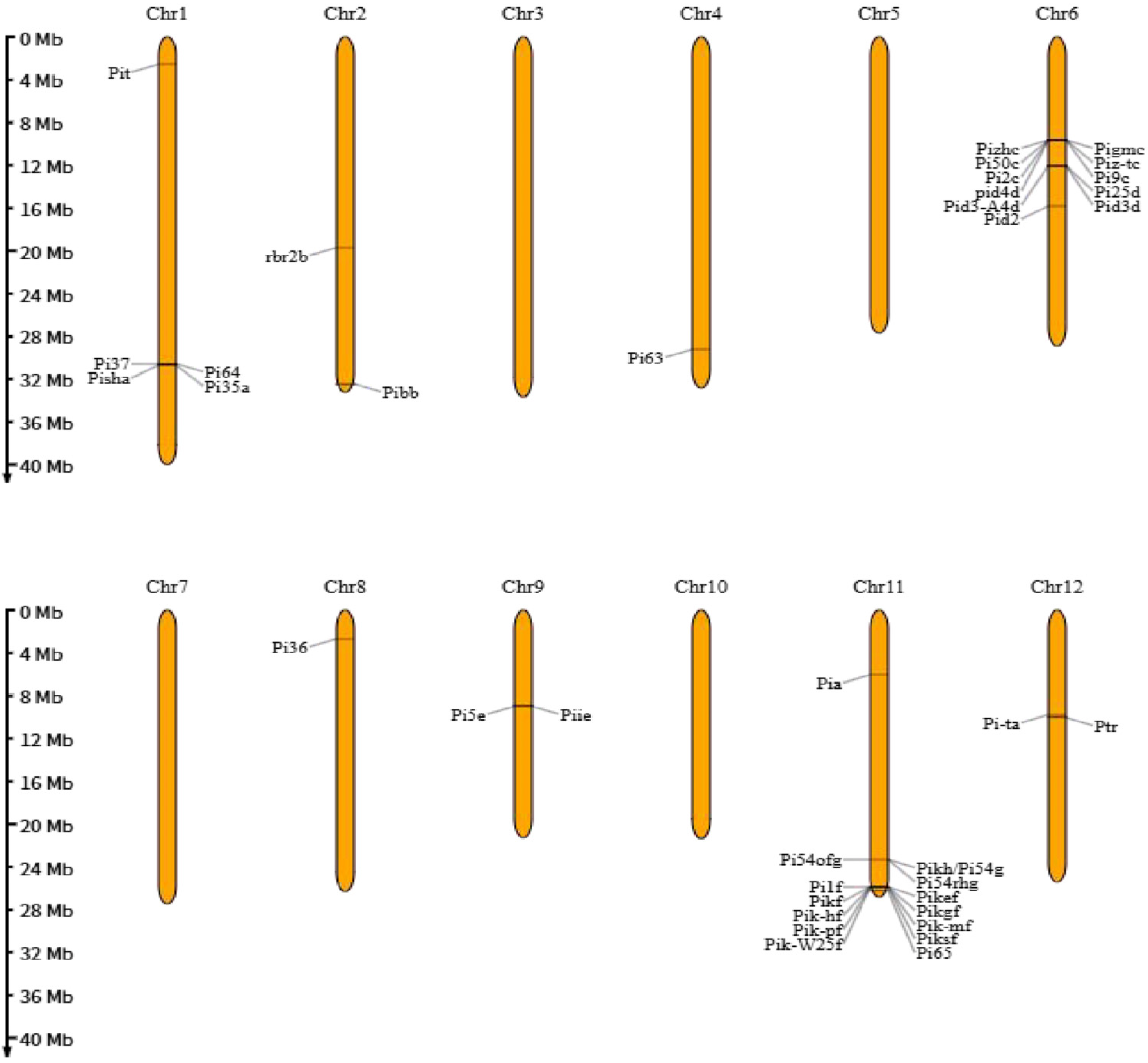 Plants 14 02698 g003