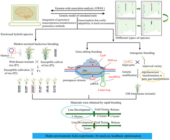 Research Progress on Rice-Blast-Resistance-Related Genes