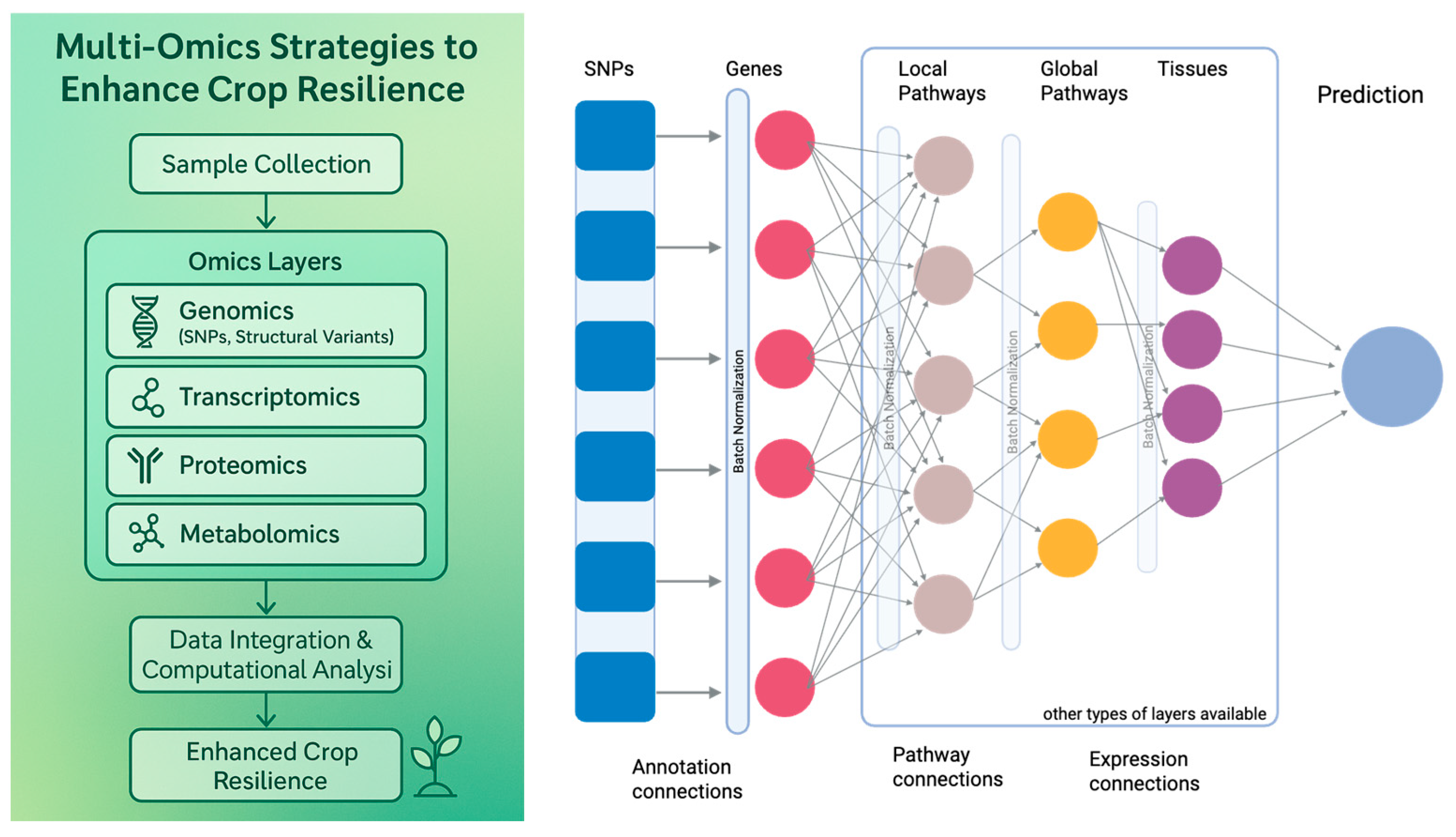 Plants 14 02699 g002