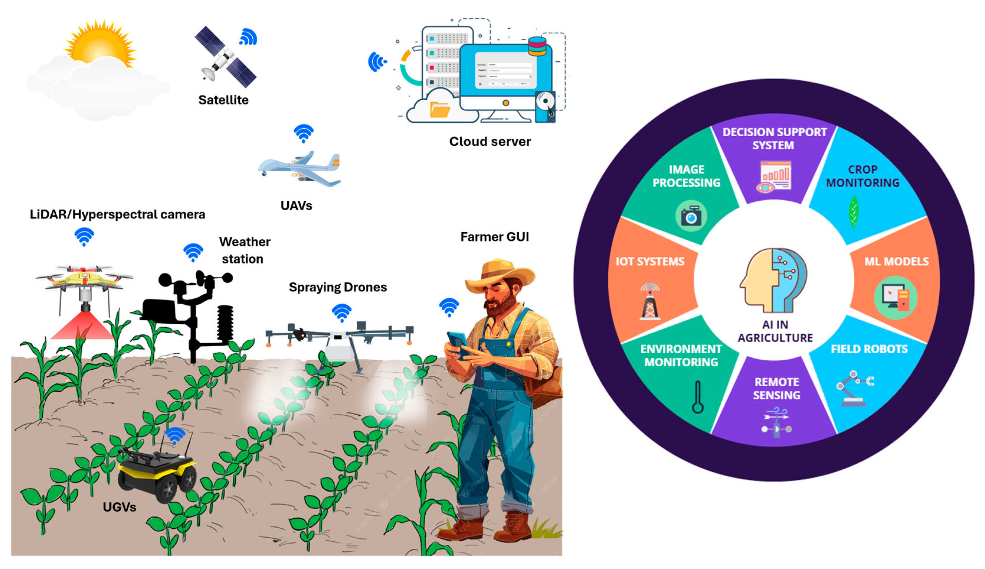 Plants 14 02699 g003