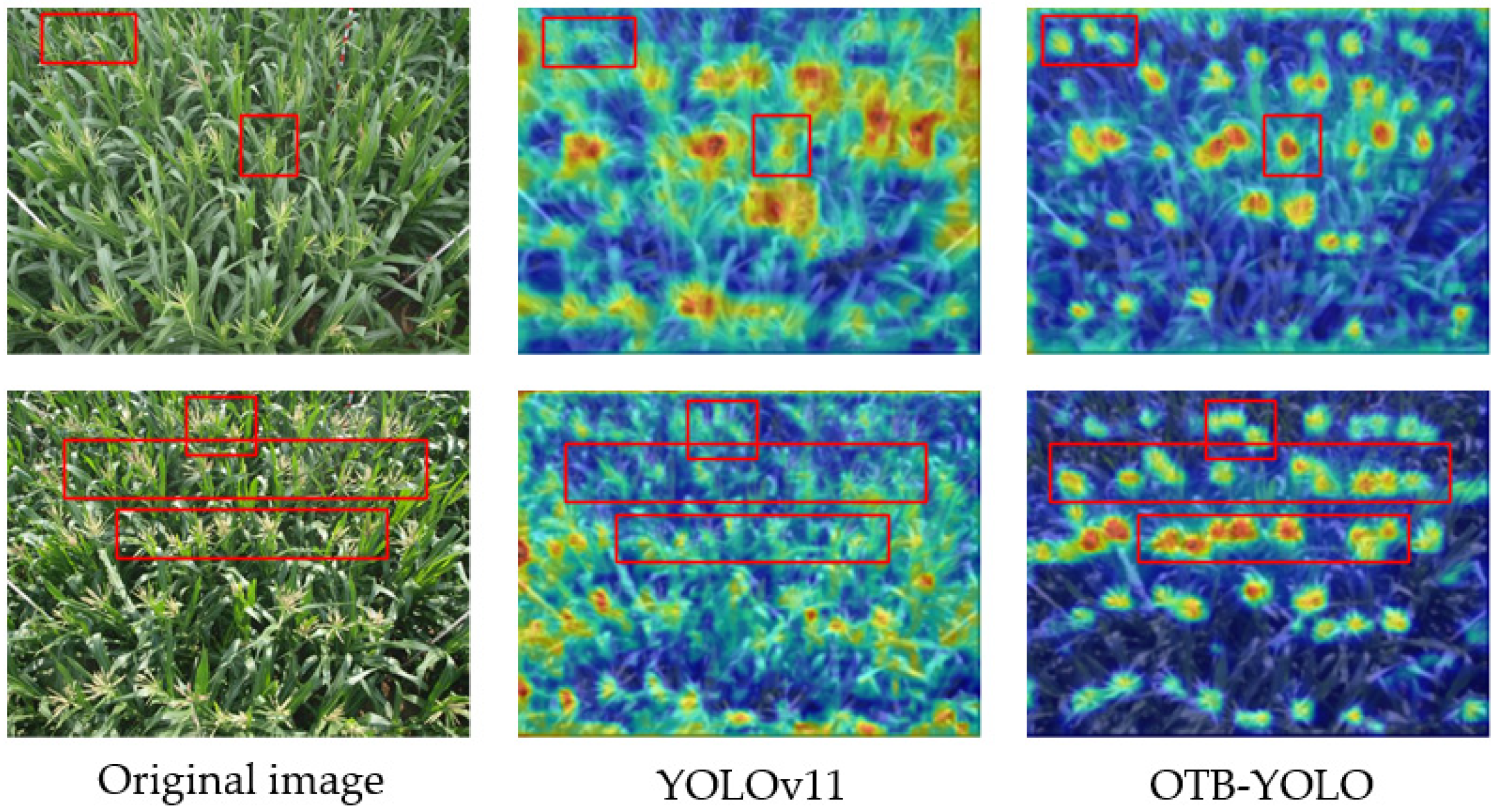 Plants 14 02701 g008