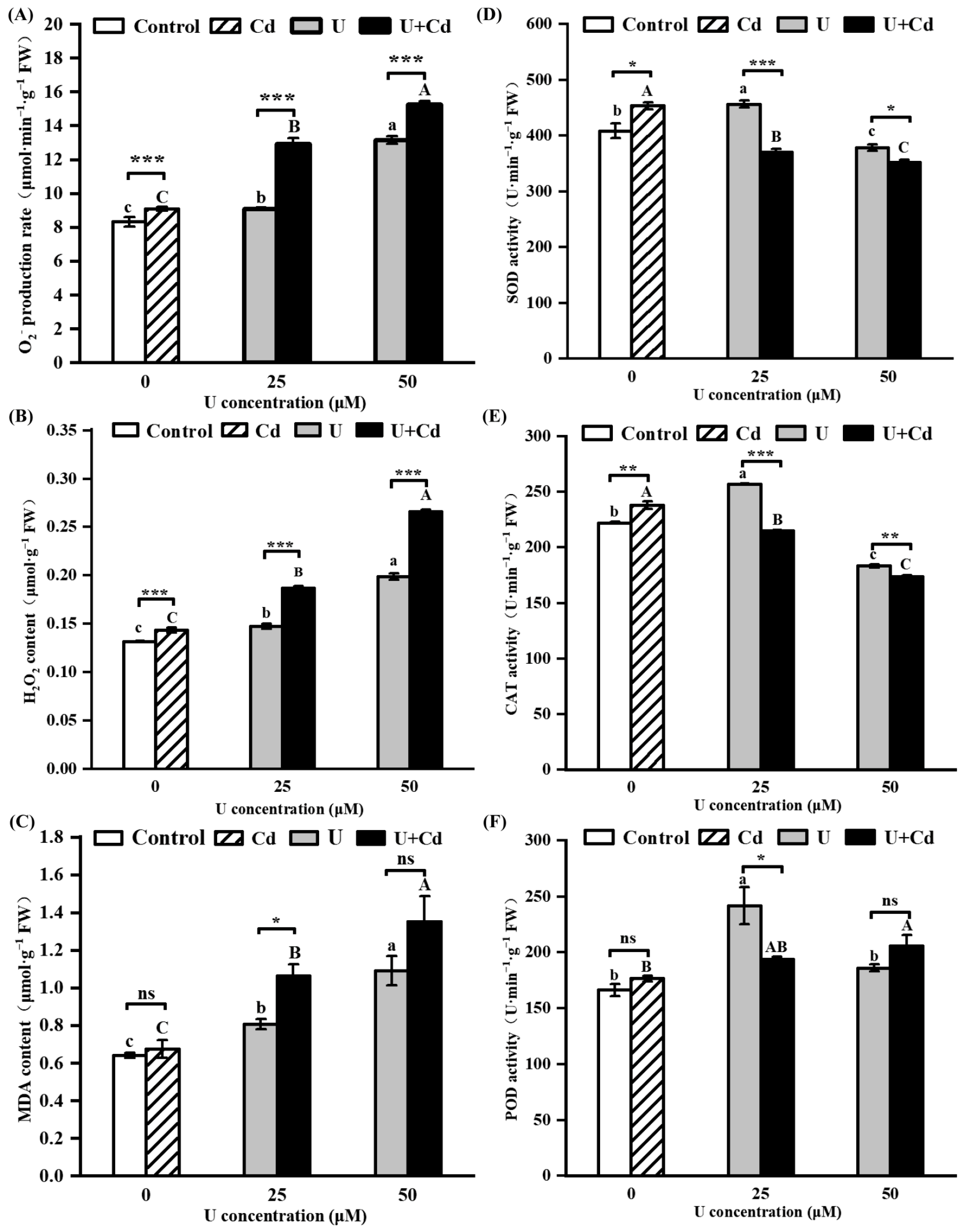 Plants 14 02711 g004