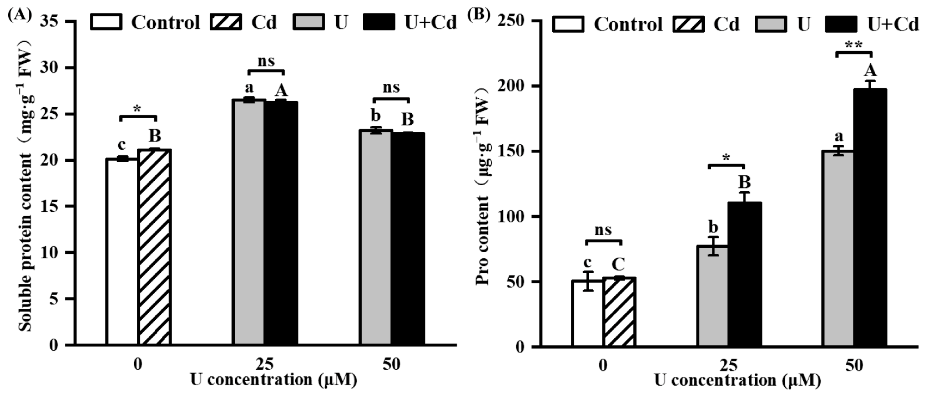 Plants 14 02711 g005