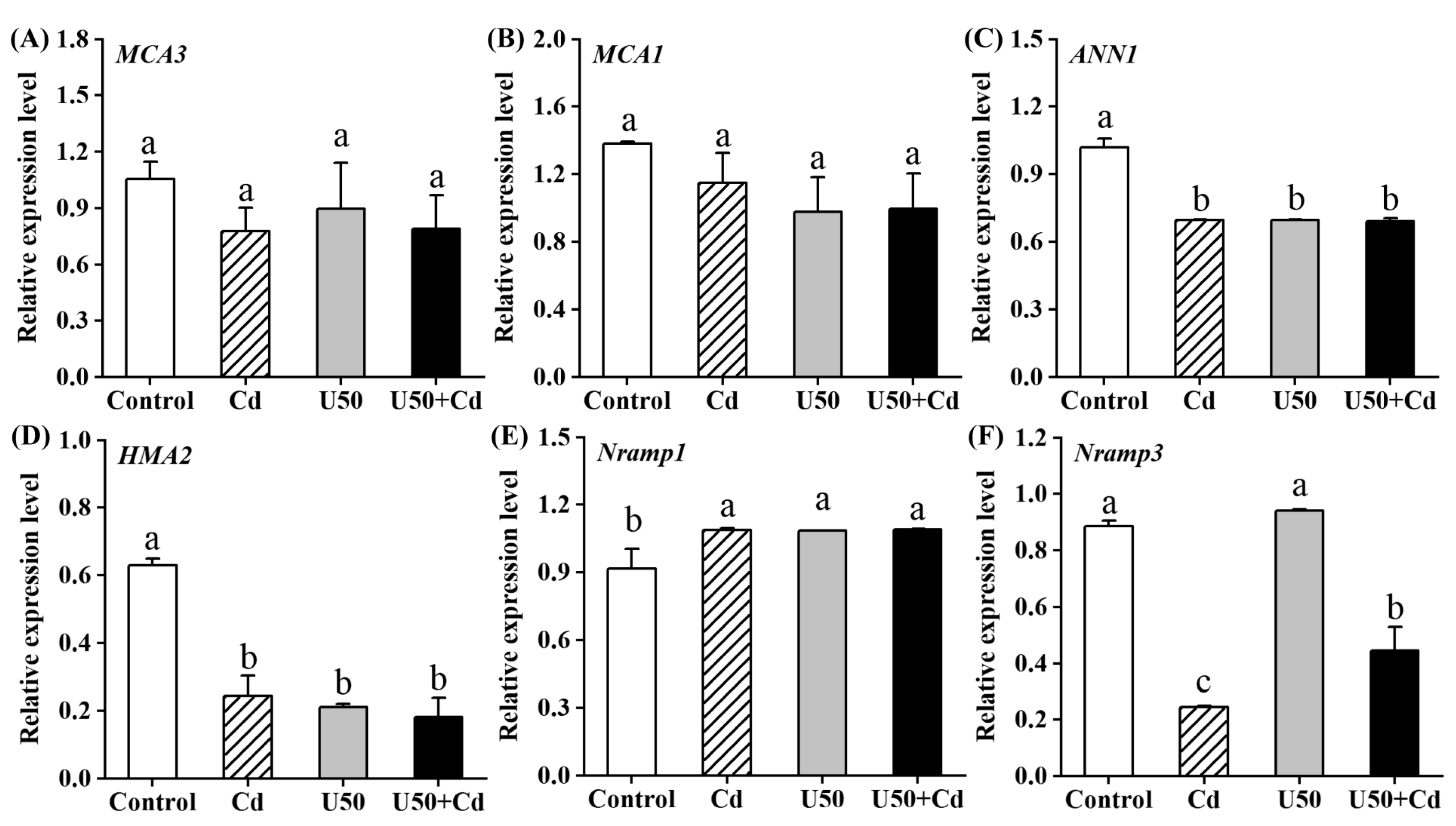 Plants 14 02711 g006