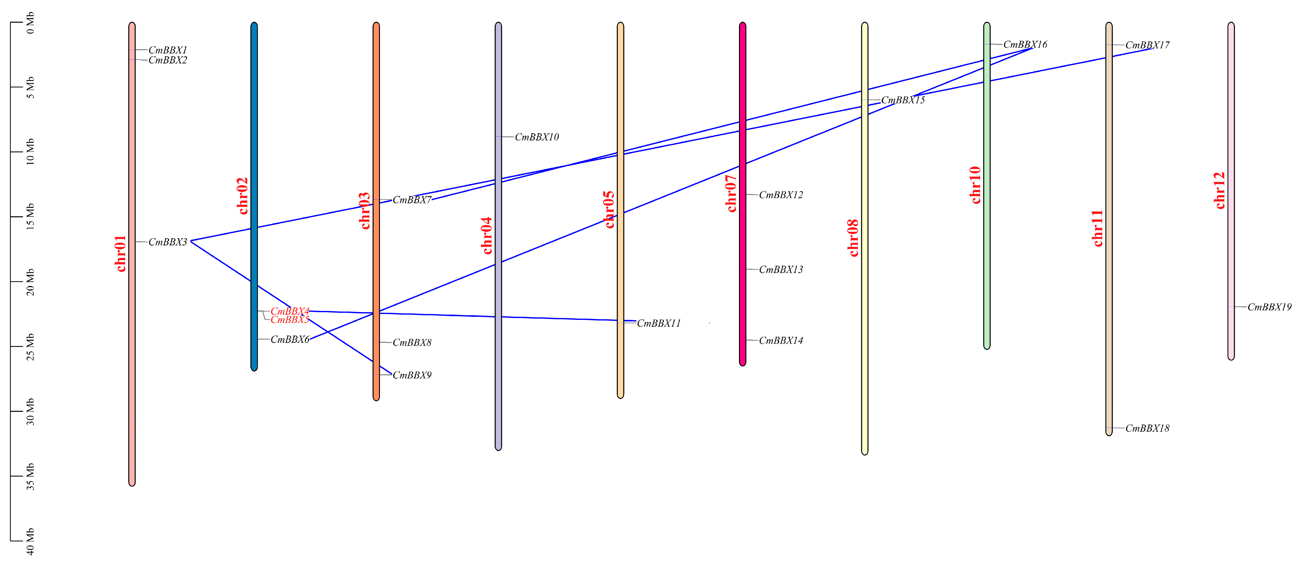 Plants 14 02715 g001 Plants 14 02715 g001