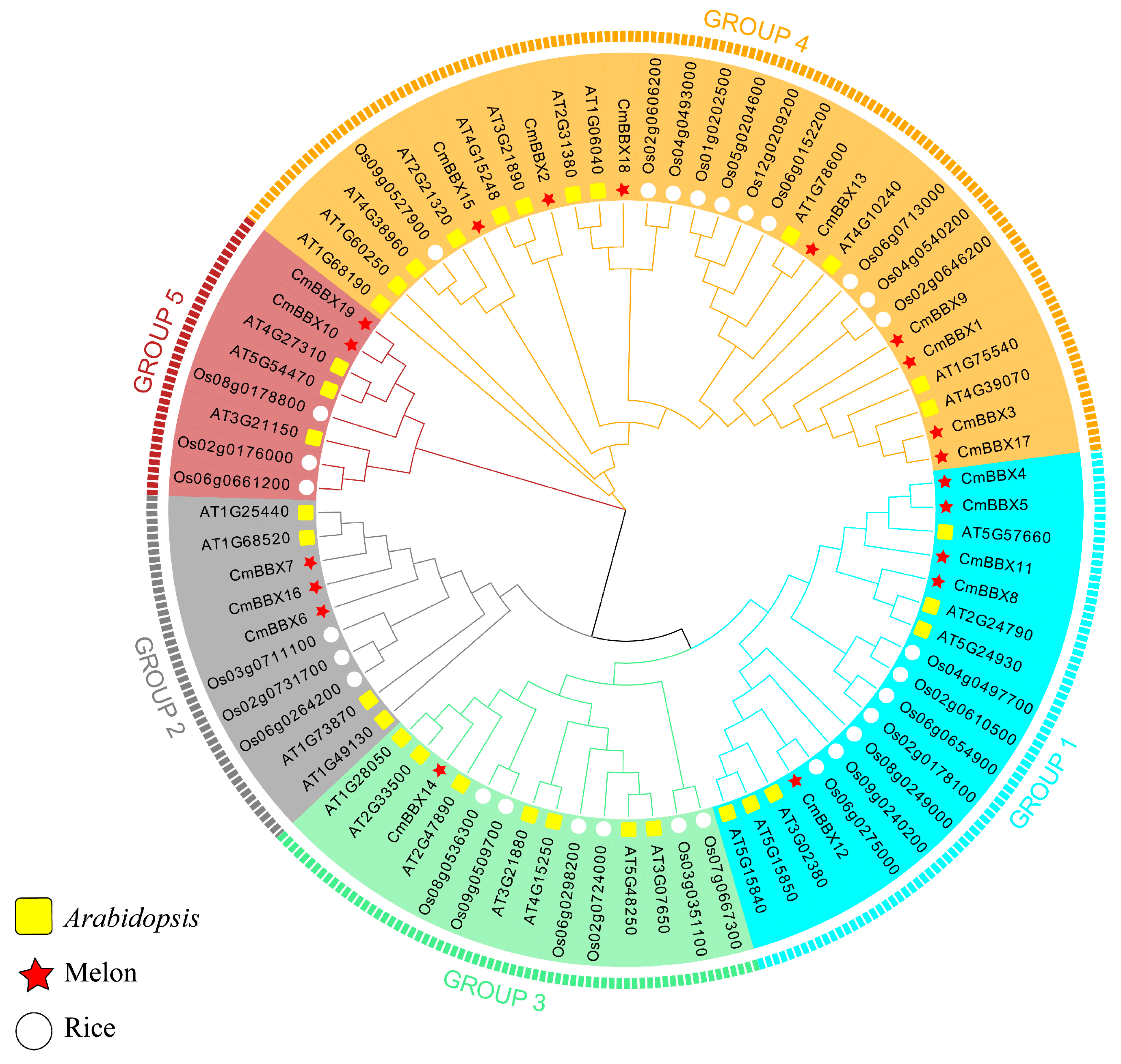 Plants 14 02715 g002 Plants 14 02715 g002