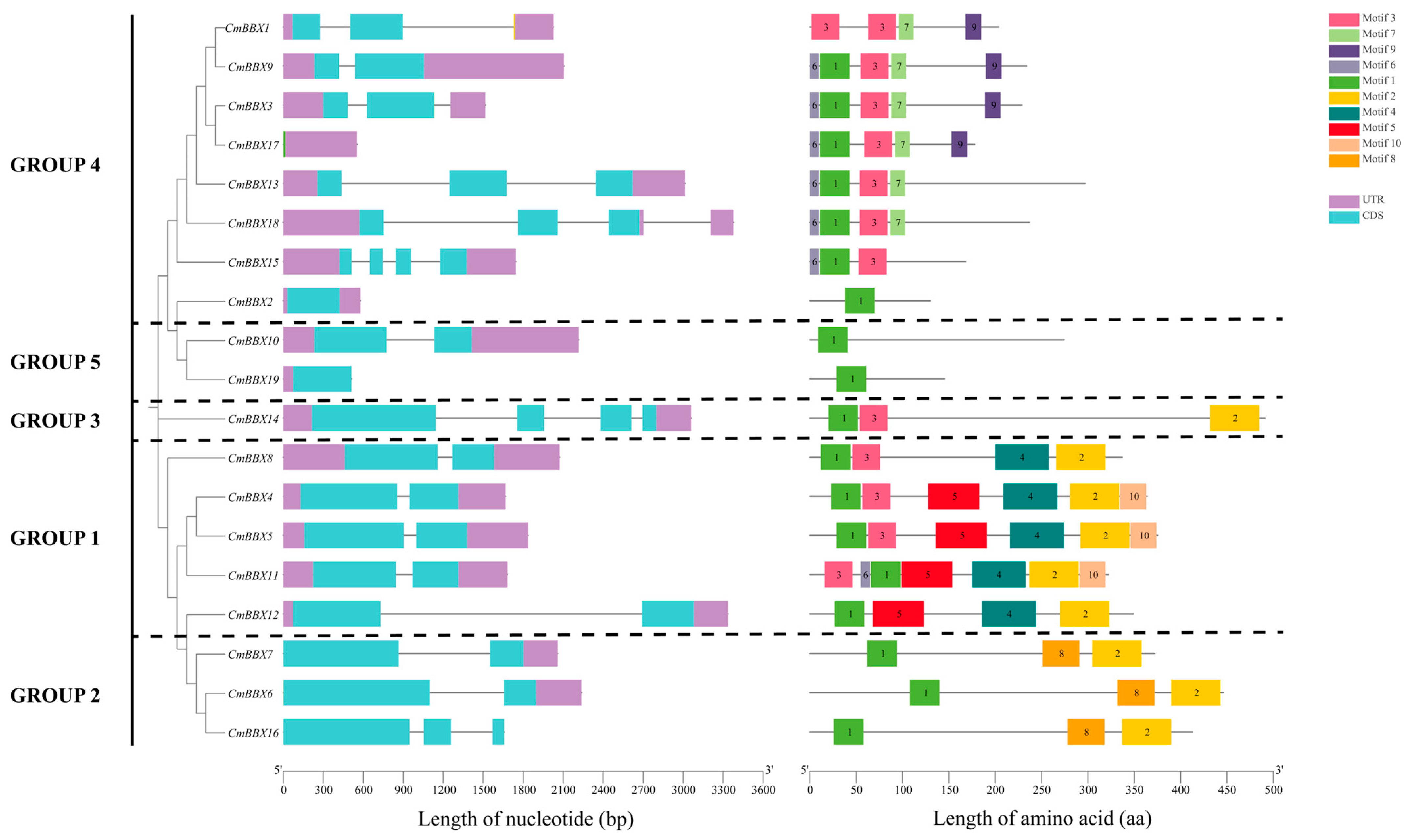 Plants 14 02715 g003 Plants 14 02715 g003