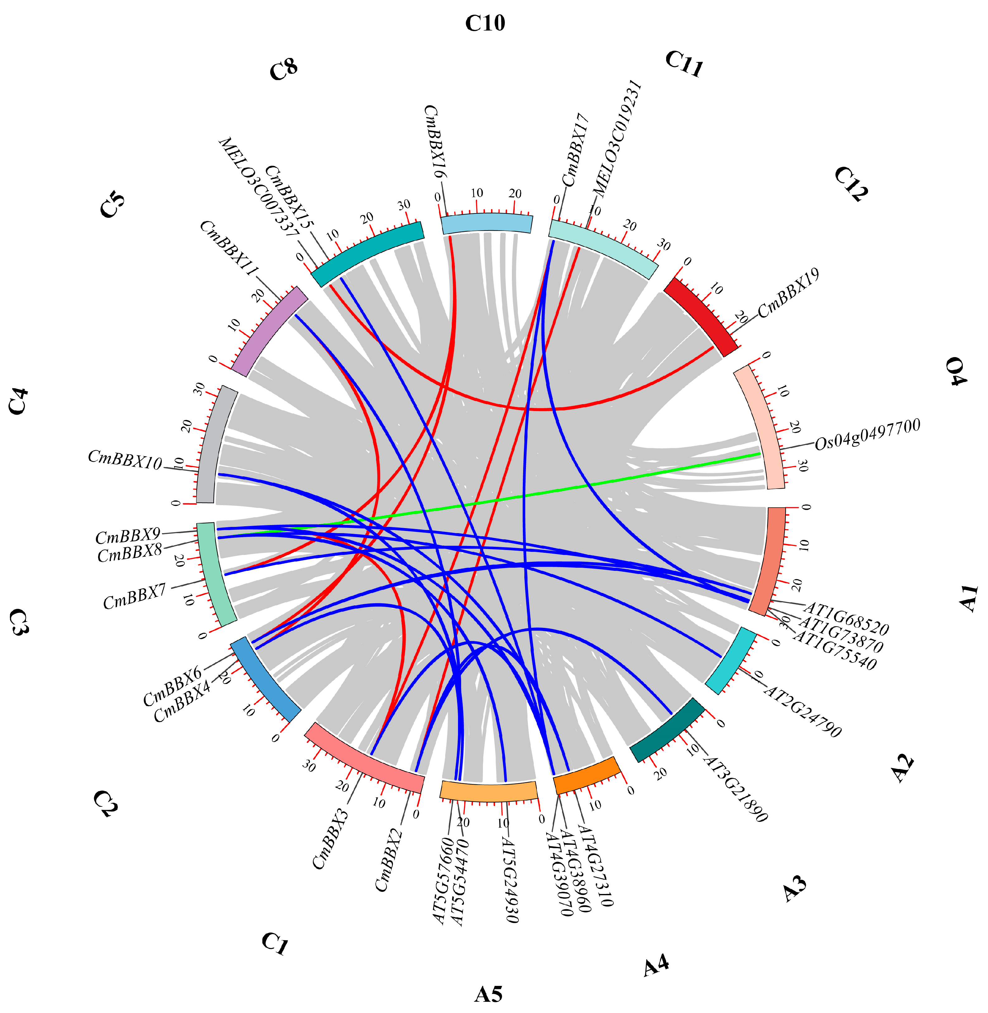 Plants 14 02715 g004 Plants 14 02715 g004