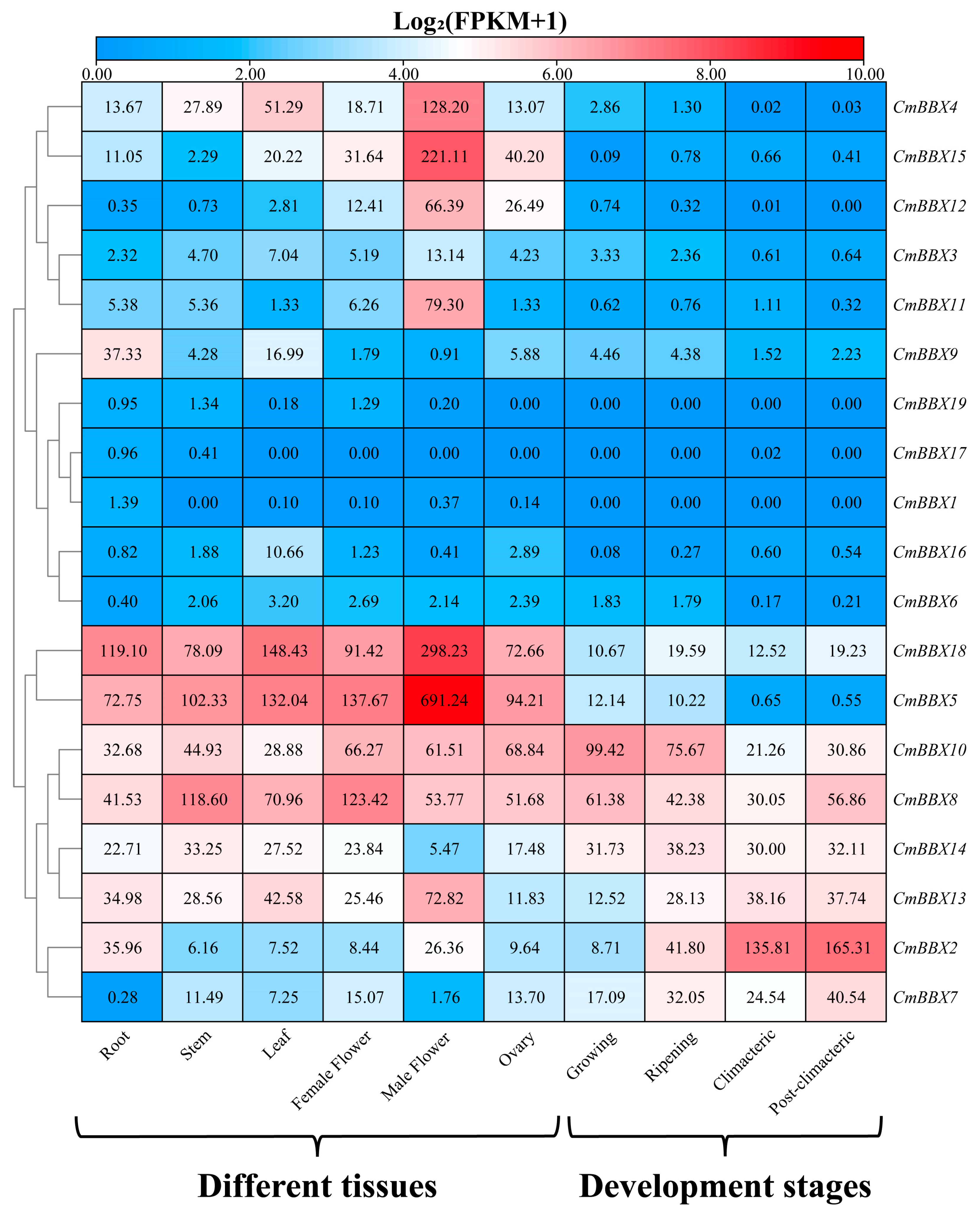 Plants 14 02715 g006 Plants 14 02715 g006