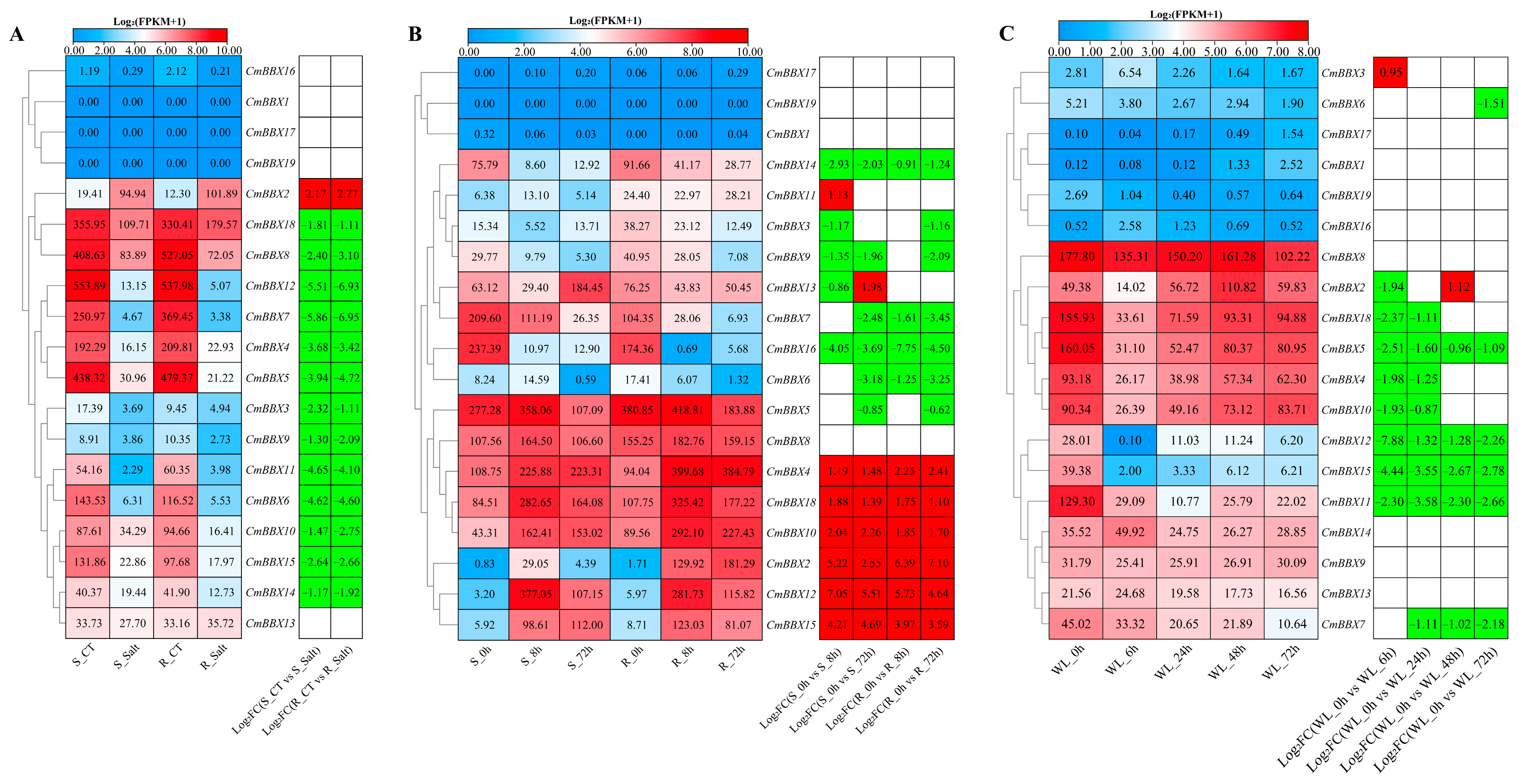 Plants 14 02715 g007 Plants 14 02715 g007