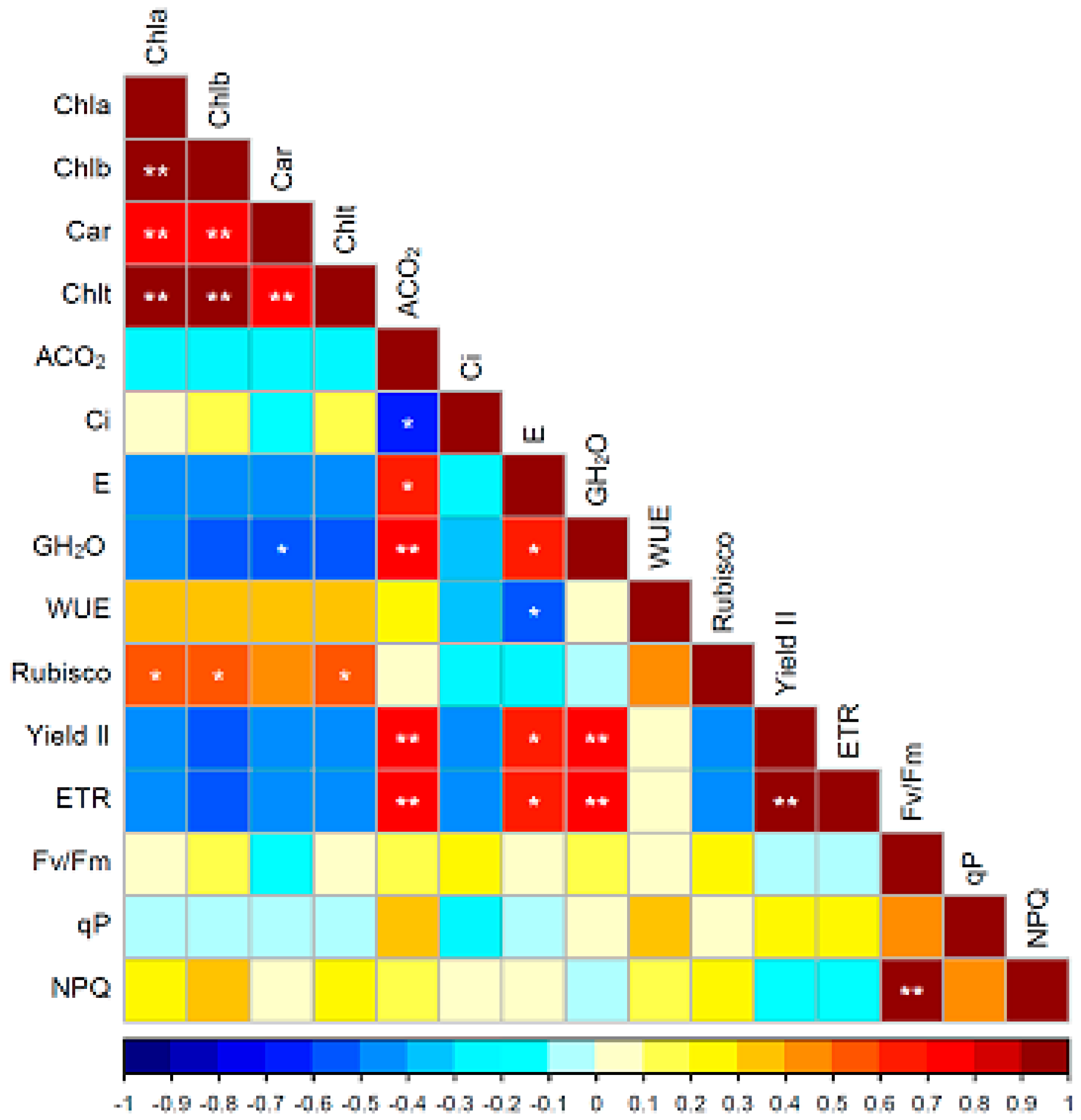 Plants 14 02718 g002 Plants 14 02718 g002