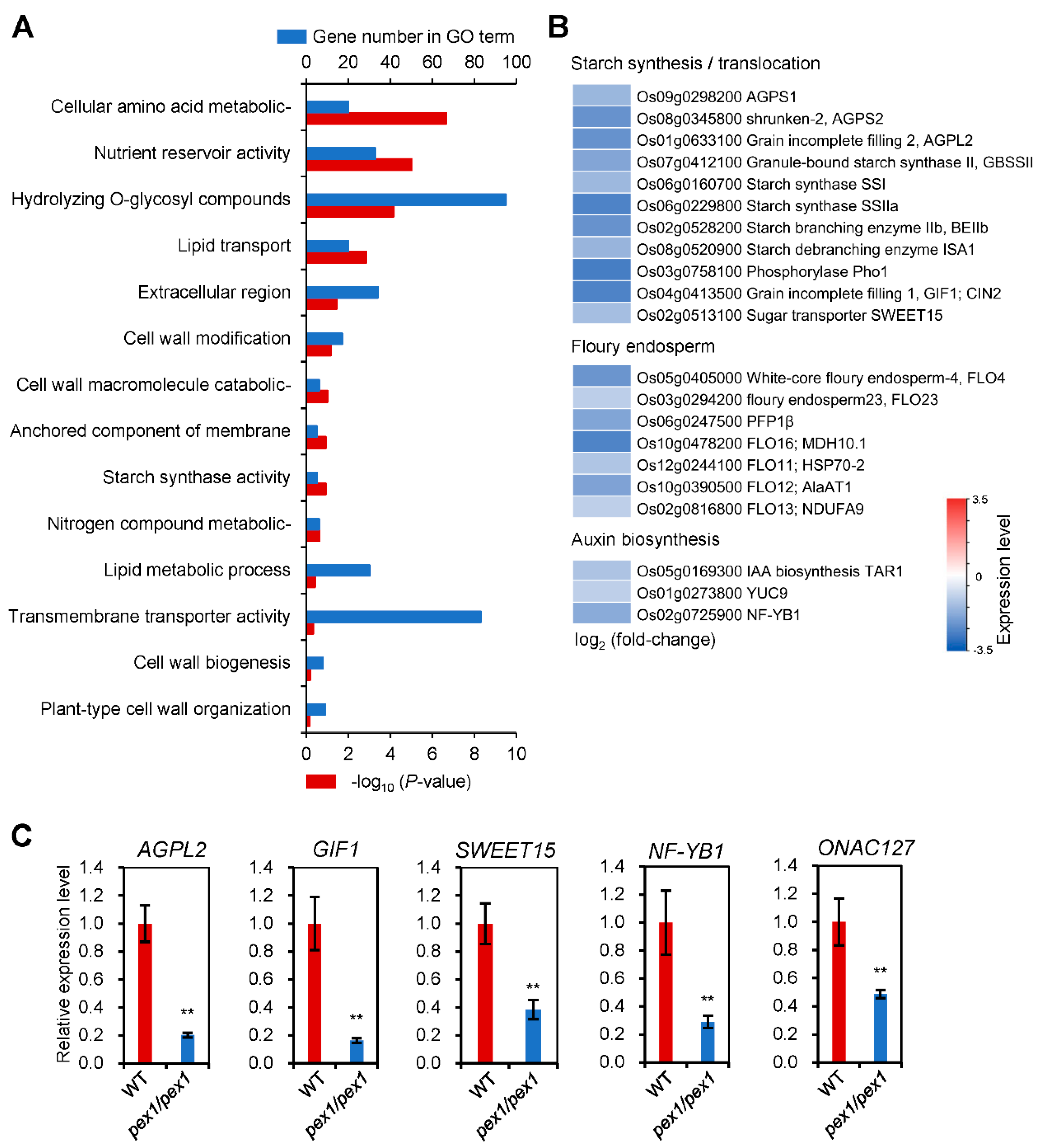 Plants 14 02723 g006
