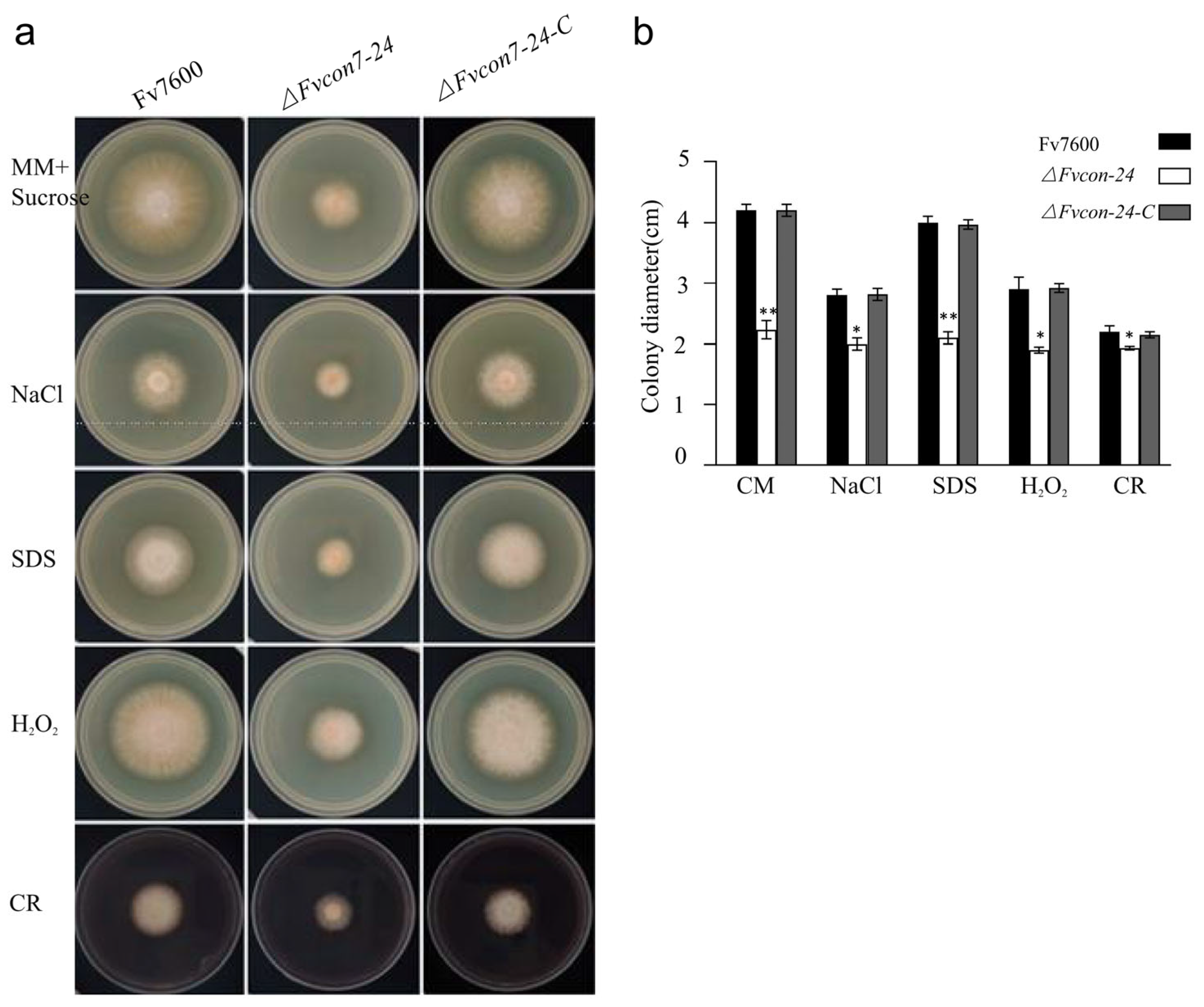 Plants 14 02725 g003