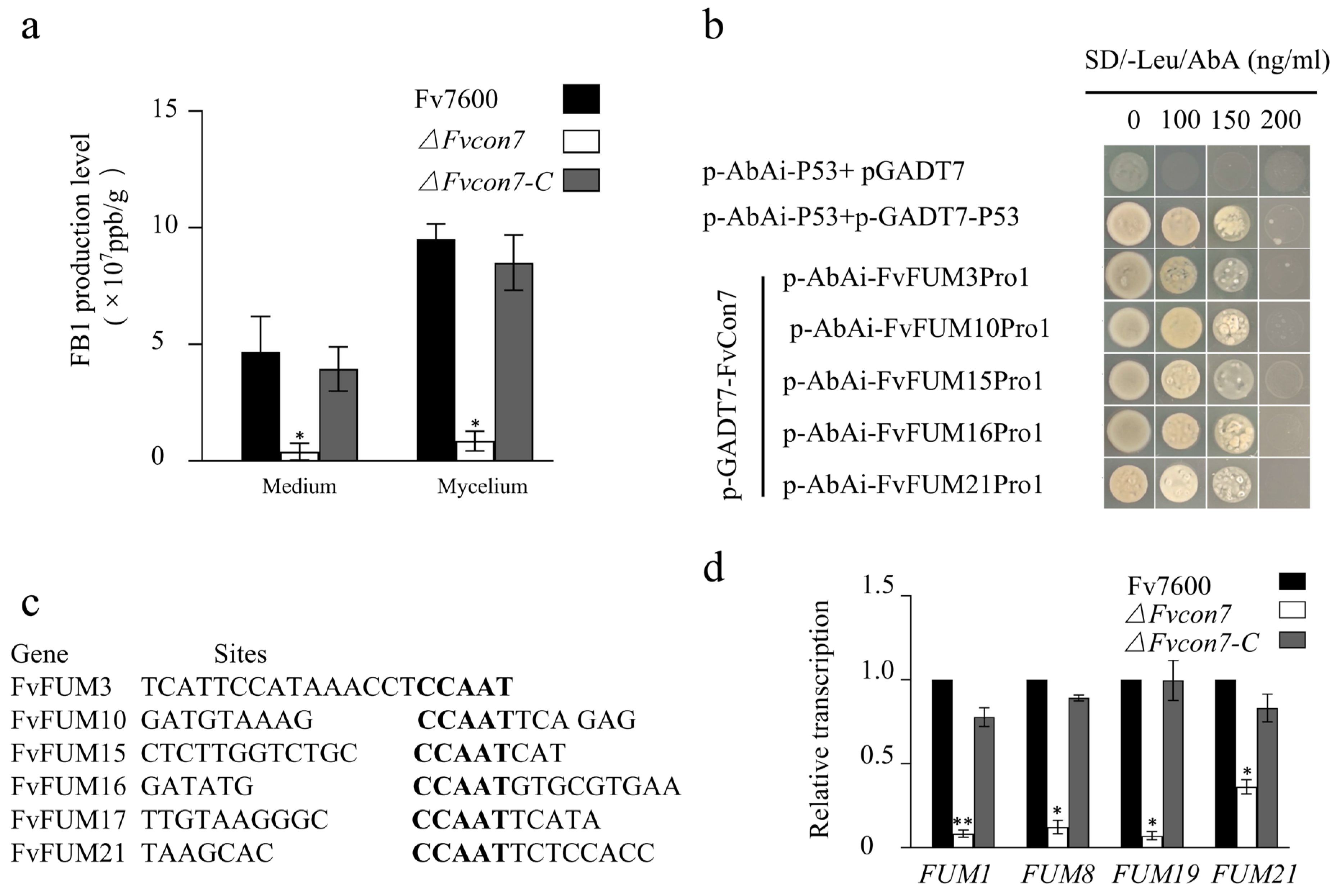 Plants 14 02725 g005