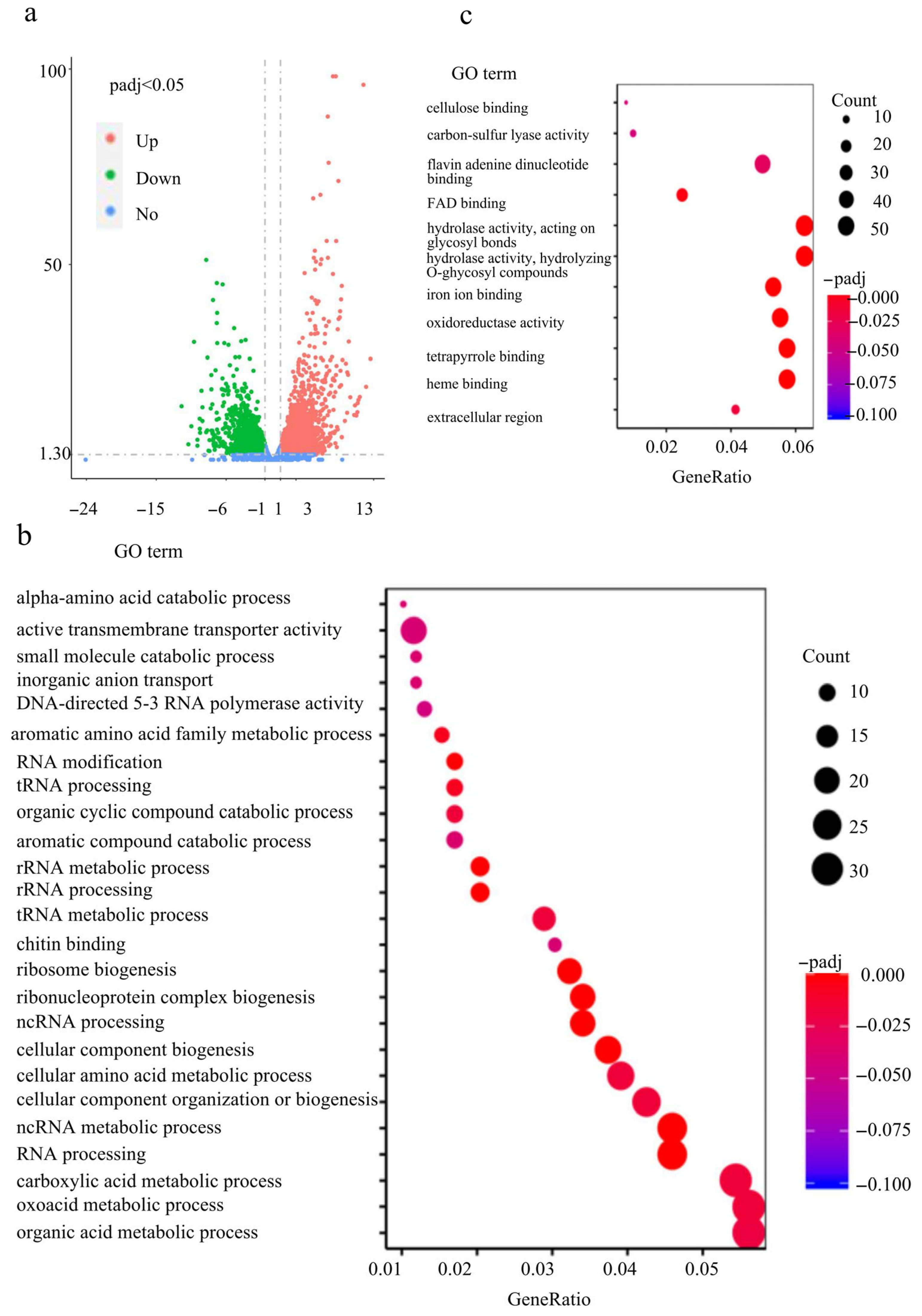 Plants 14 02725 g007a