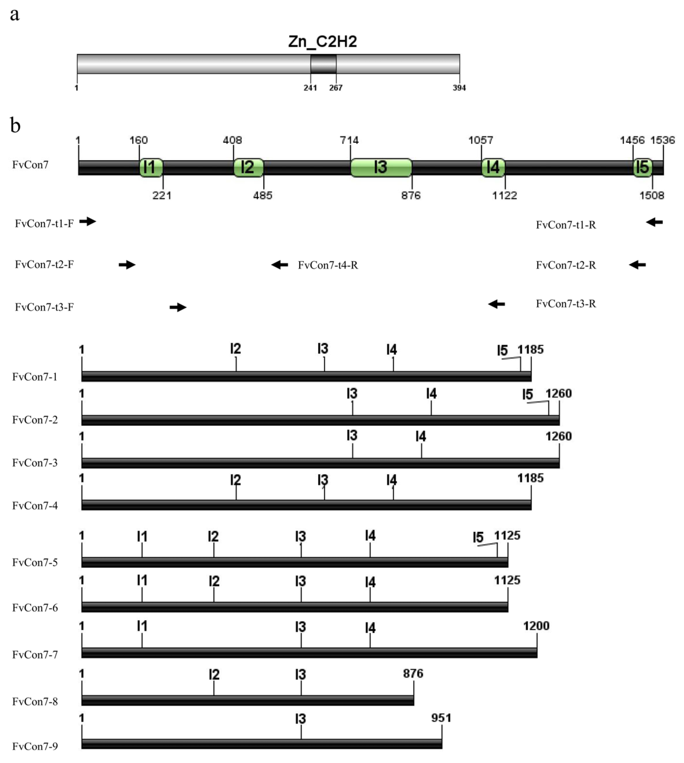 Plants 14 02725 g0a1a