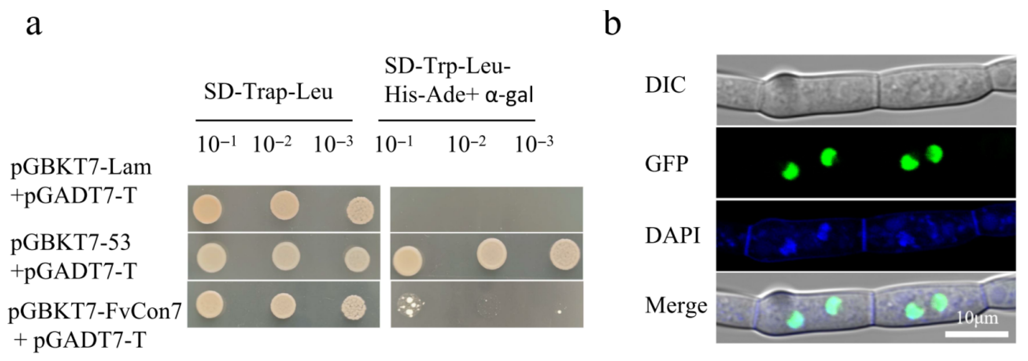 Plants 14 02725 g0a3
