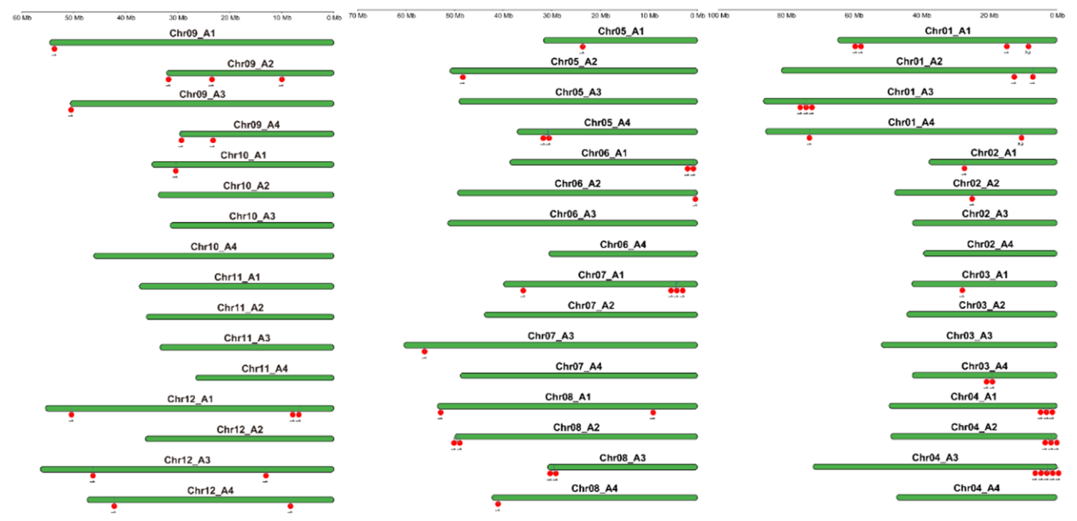 Plants 14 02731 g002 Plants 14 02731 g002