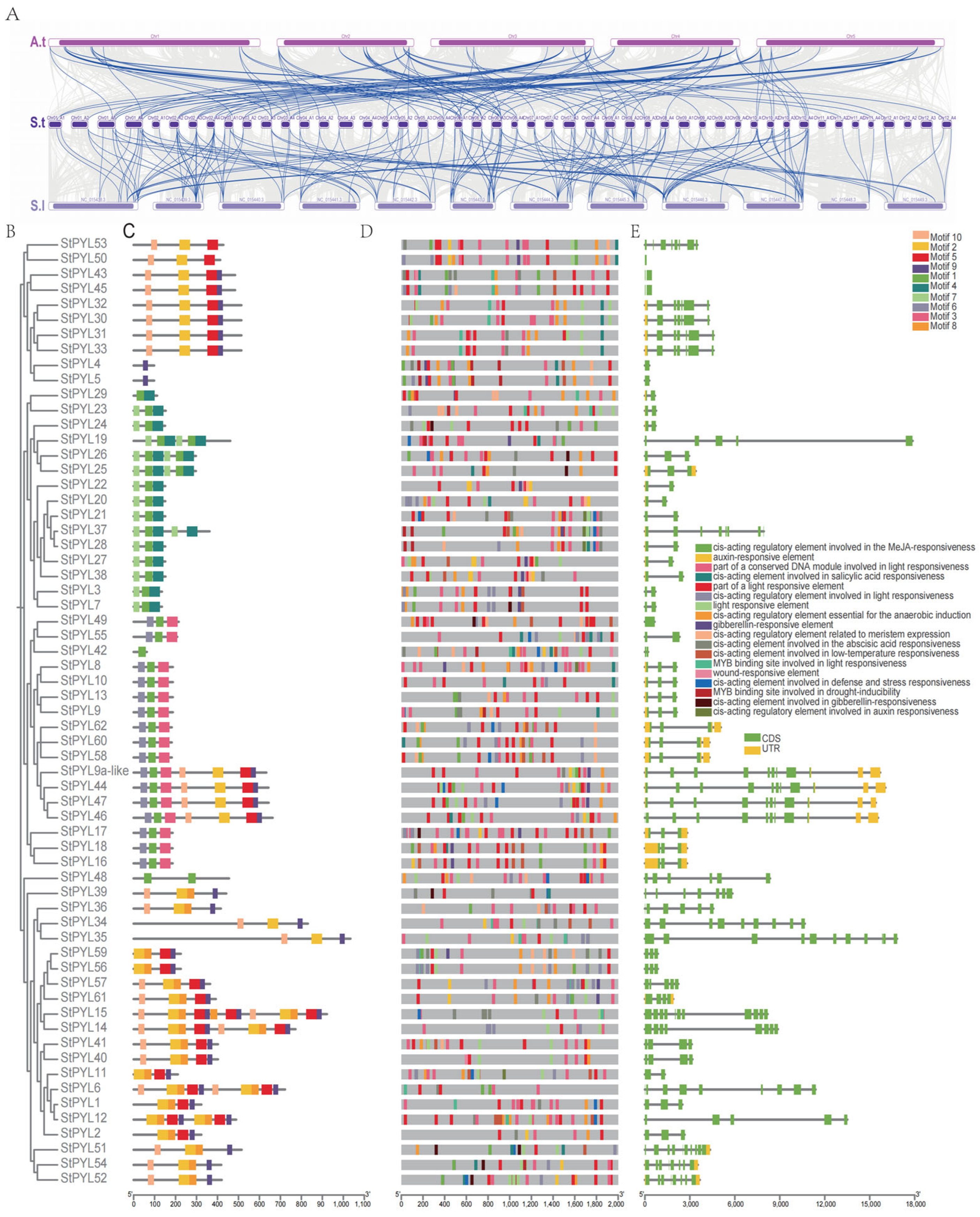 Plants 14 02731 g003 Plants 14 02731 g003