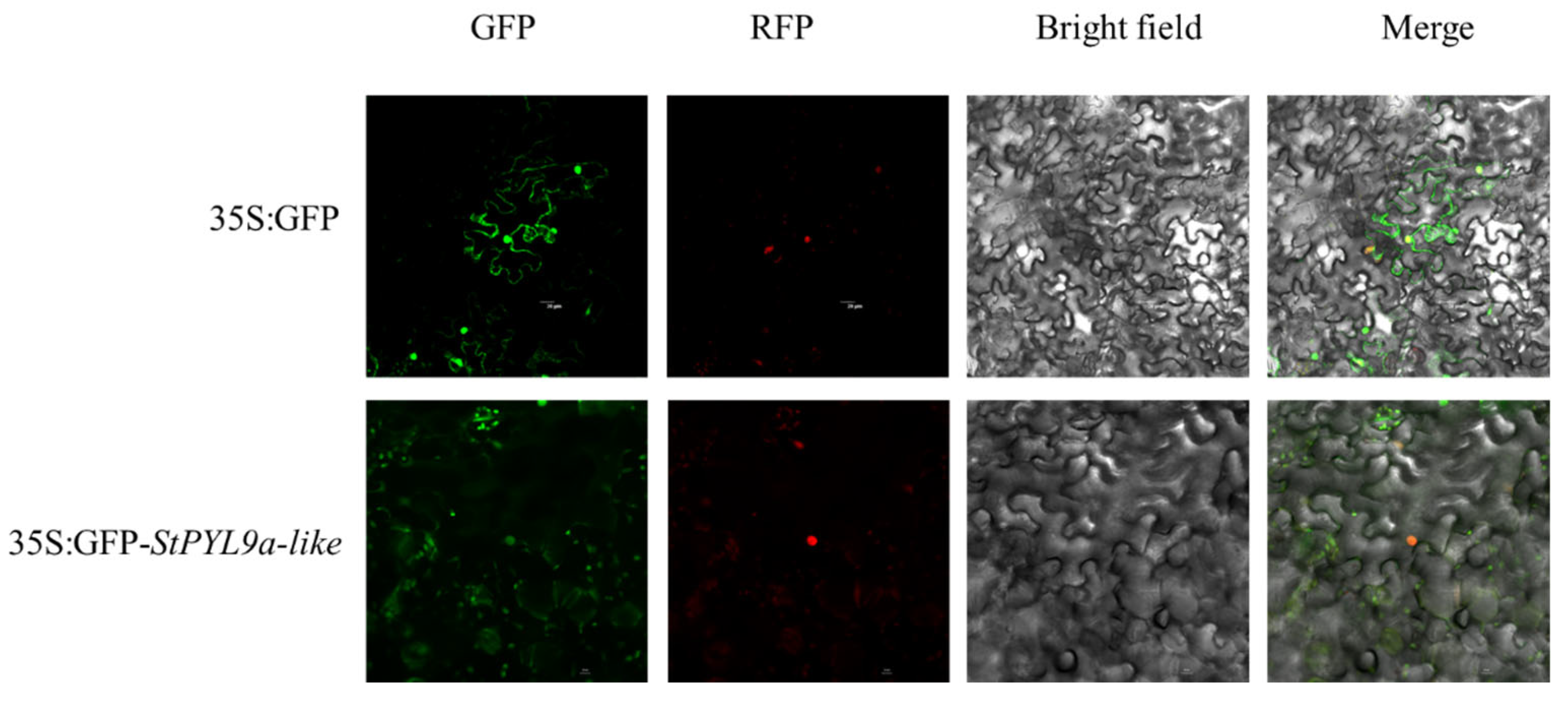 Plants 14 02731 g005 Plants 14 02731 g005