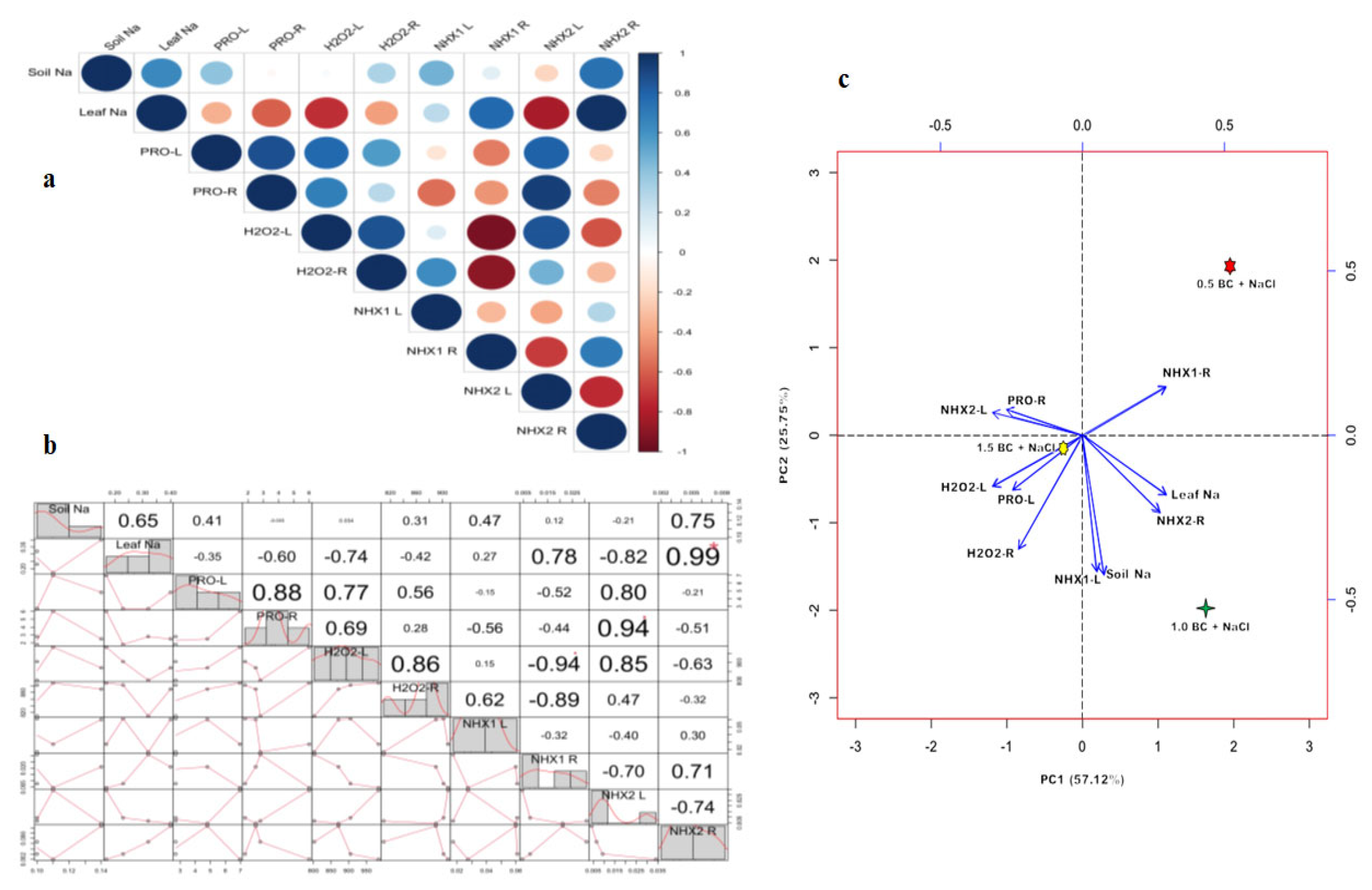 Plants 14 02743 g013 Plants 14 02743 g013