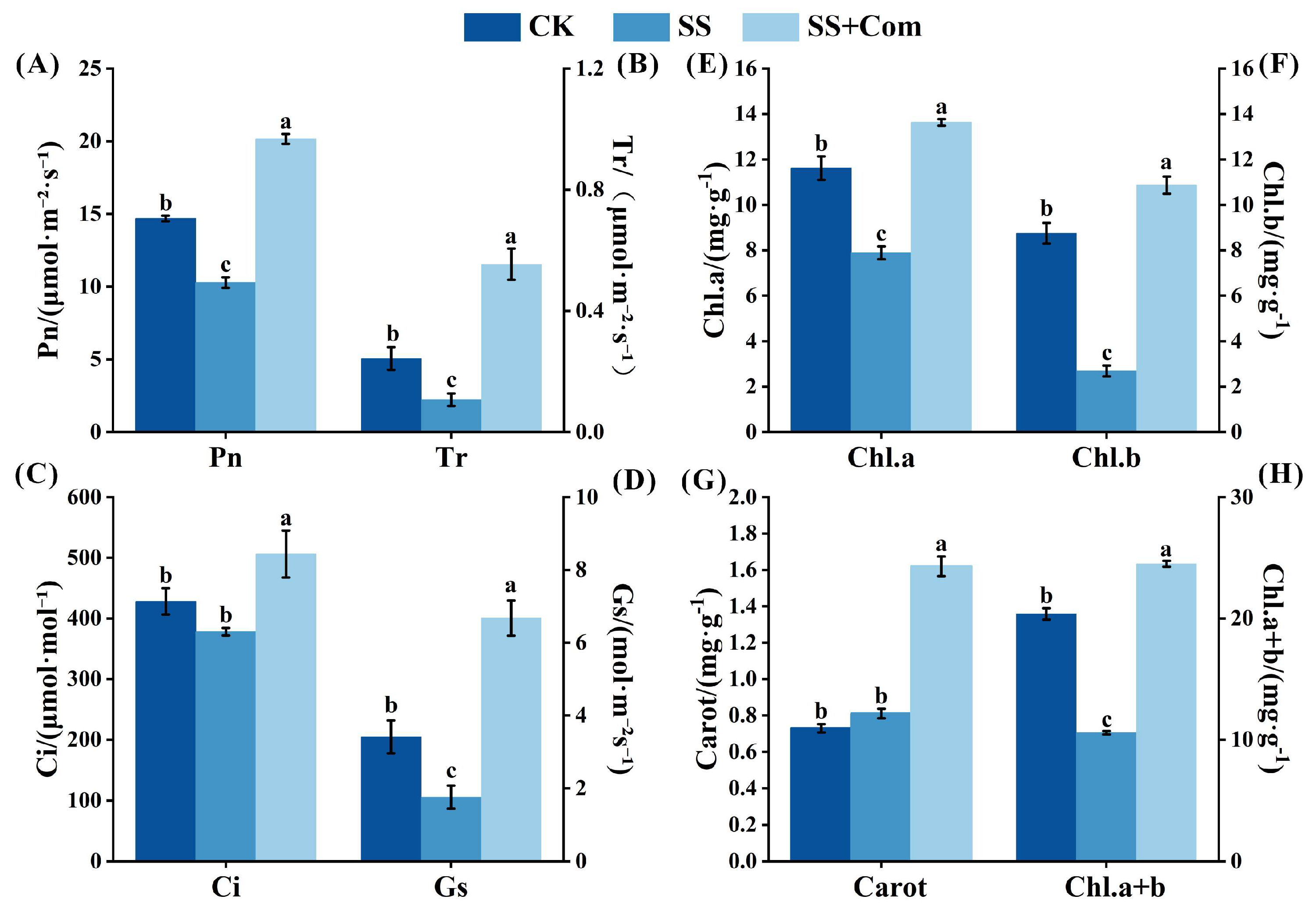 Plants 14 02744 g002