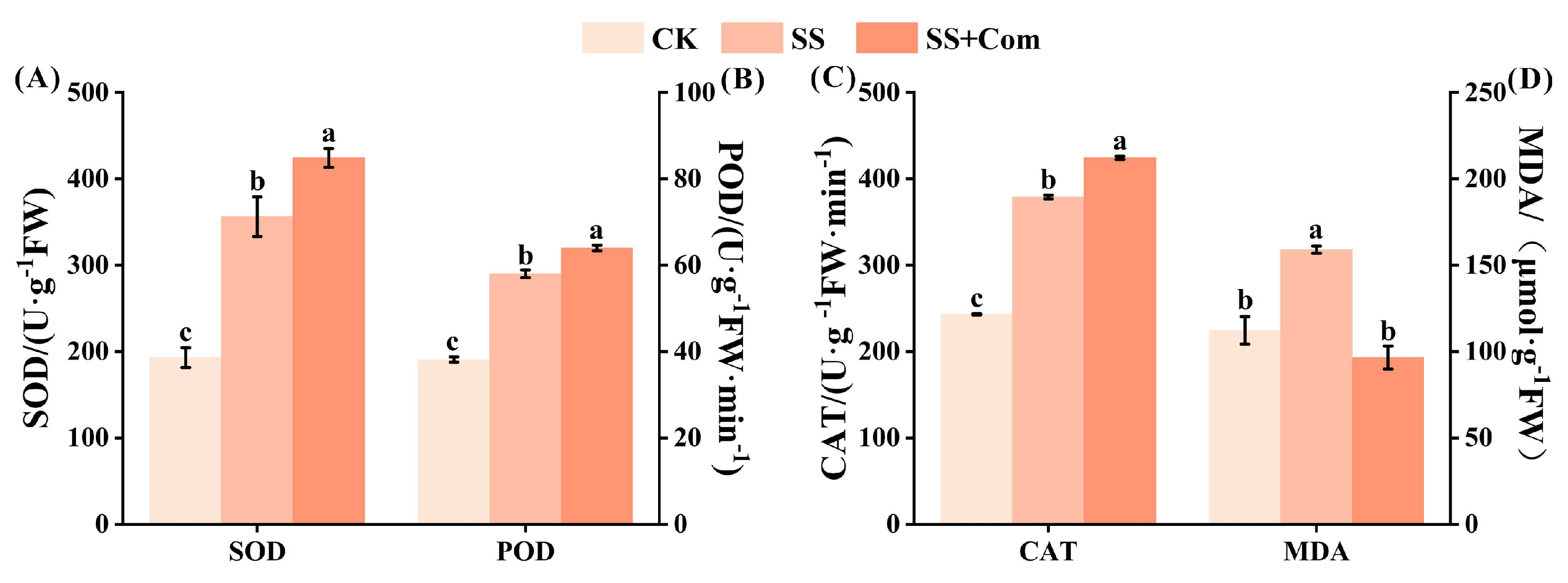 Plants 14 02744 g003