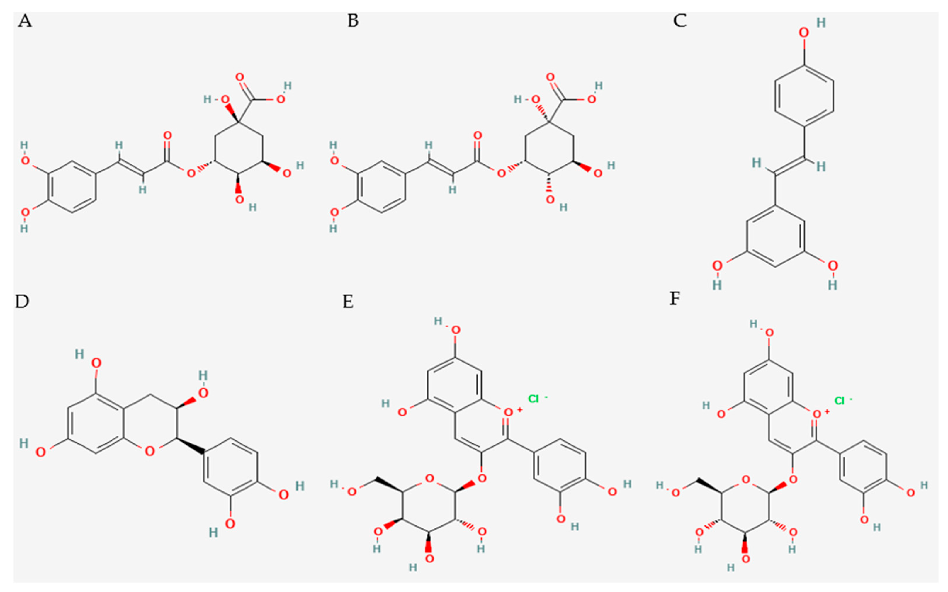 Plants 14 02748 g002