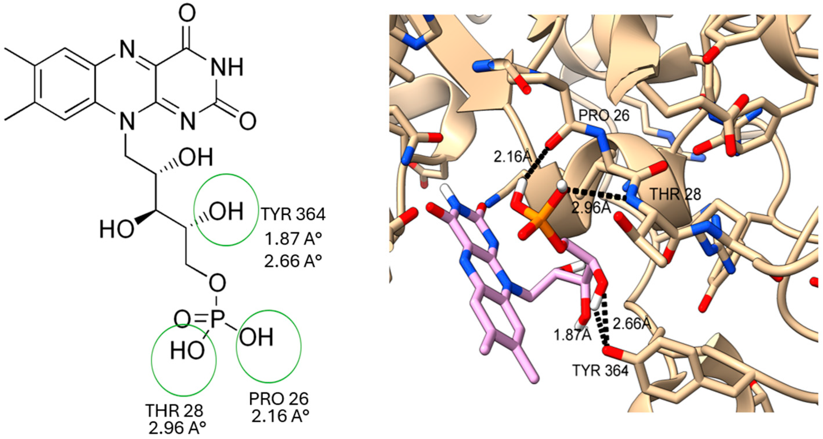 Plants 14 02749 g003