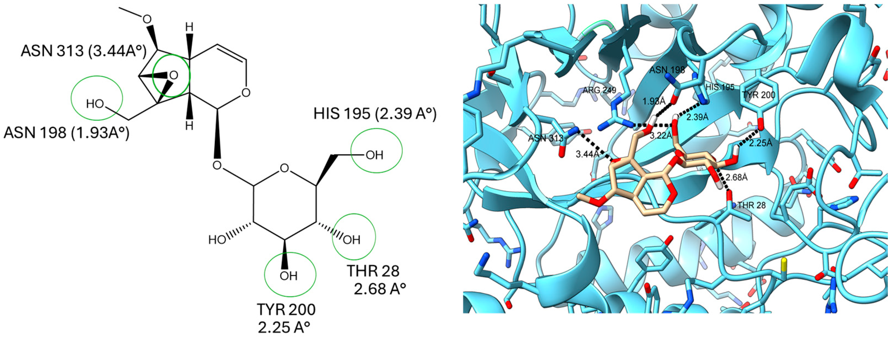 Plants 14 02749 g004