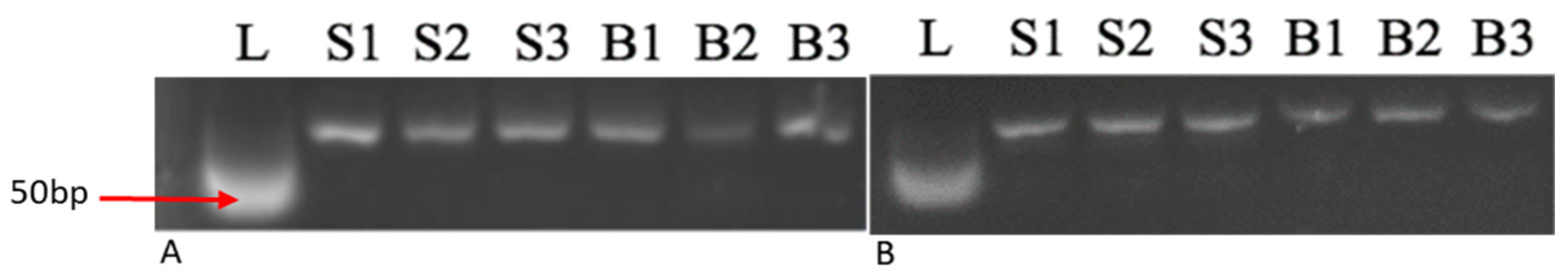 Plants 14 02750 g006