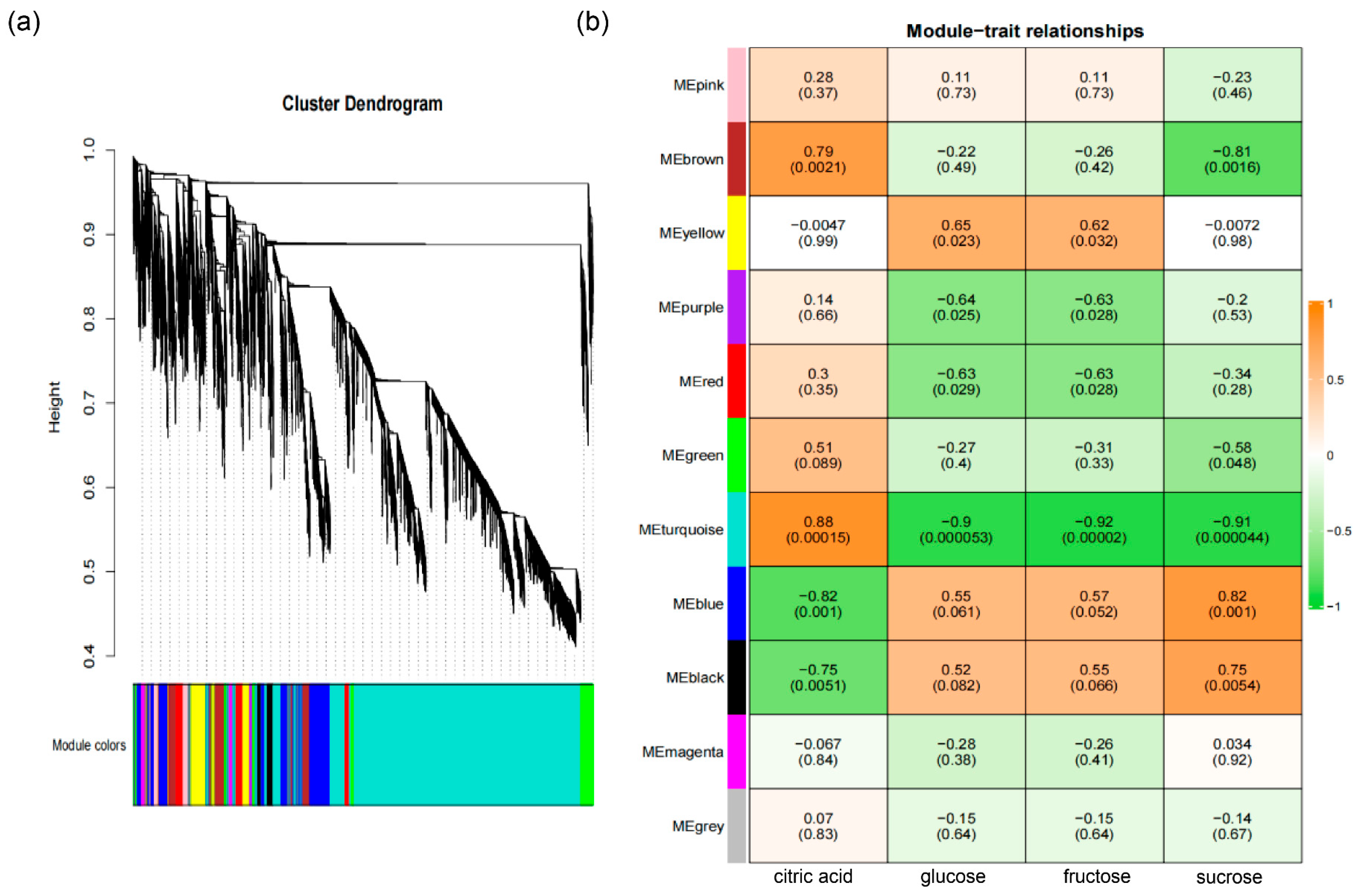 Plants 14 02751 g005 Plants 14 02751 g005