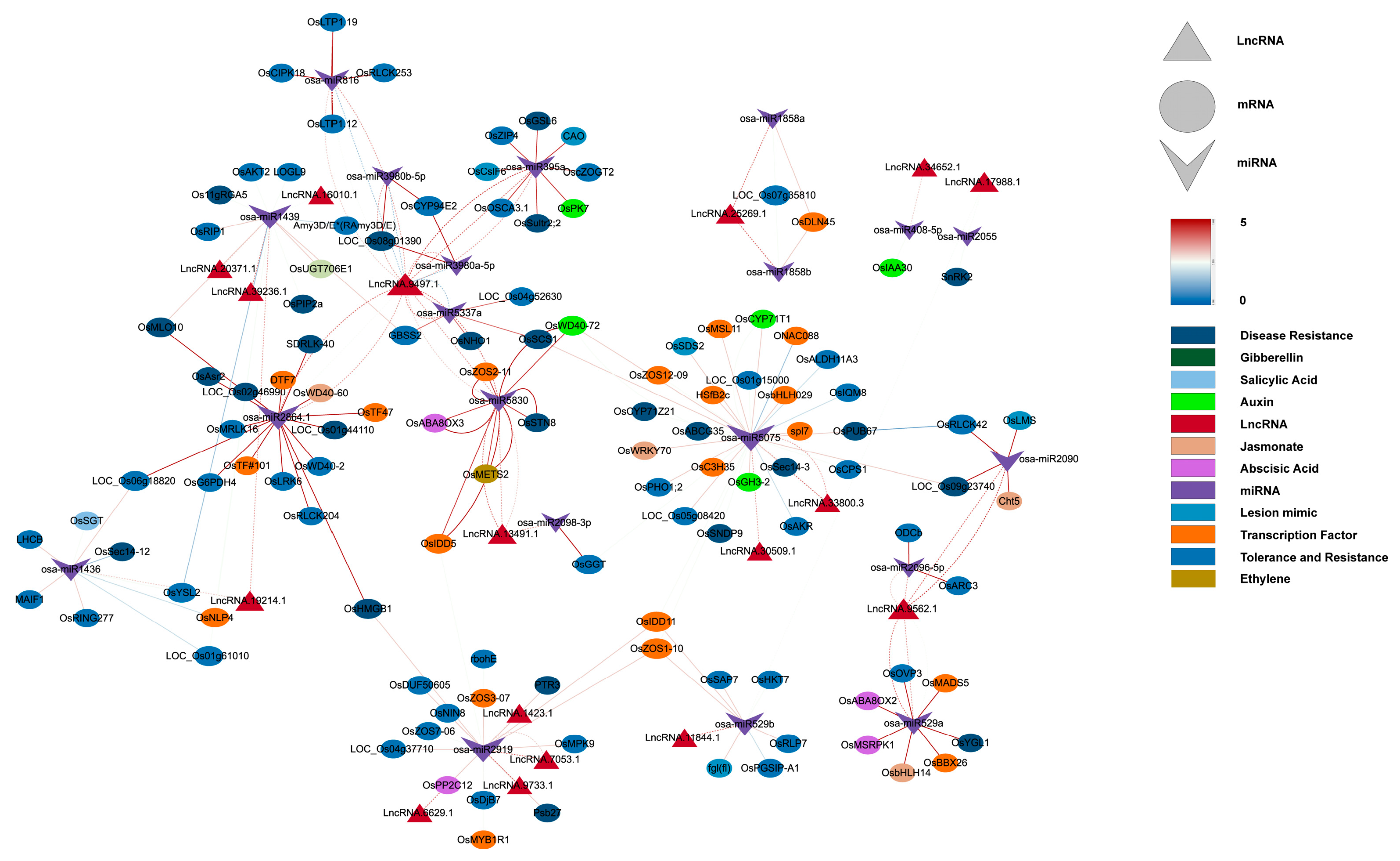 Plants 14 02752 g004