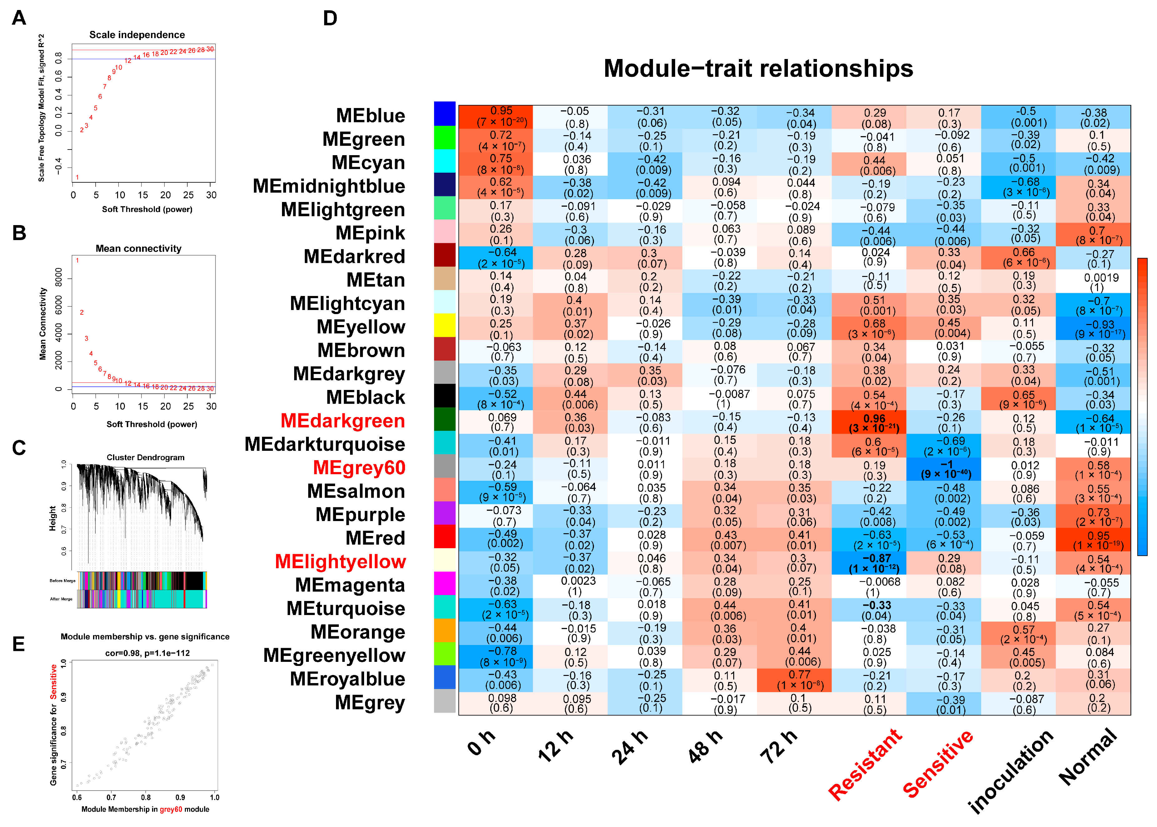 Plants 14 02752 g005