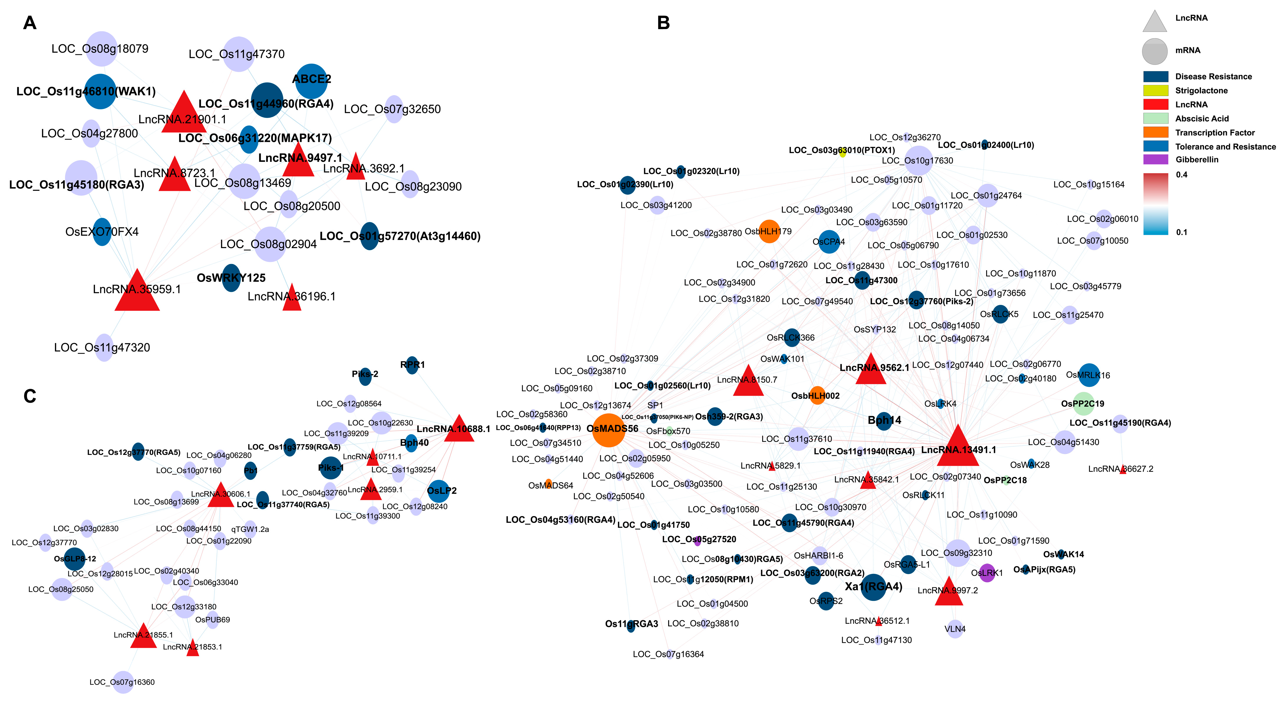 Plants 14 02752 g006