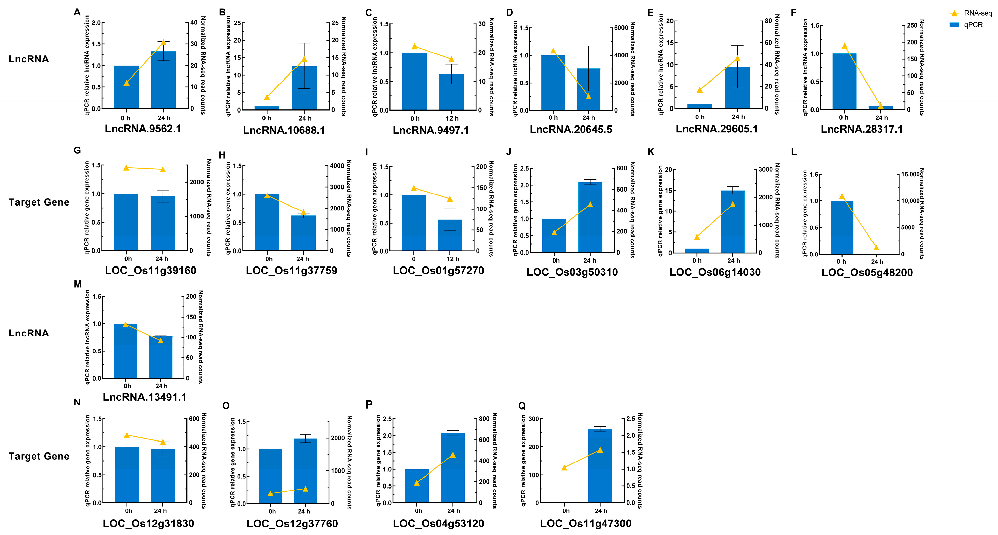 Plants 14 02752 g008