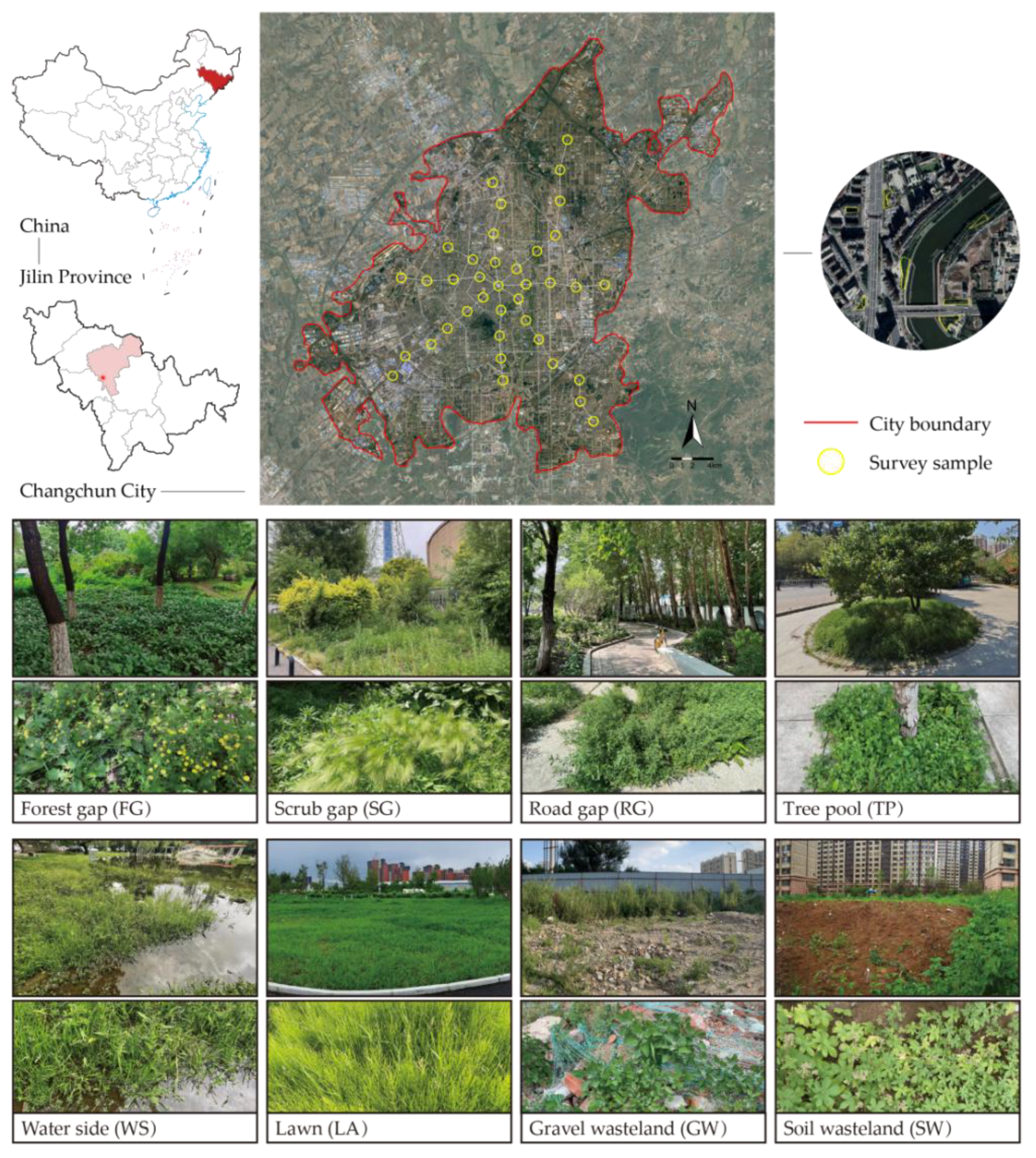 Plants 14 02753 g005 Plants 14 02753 g005