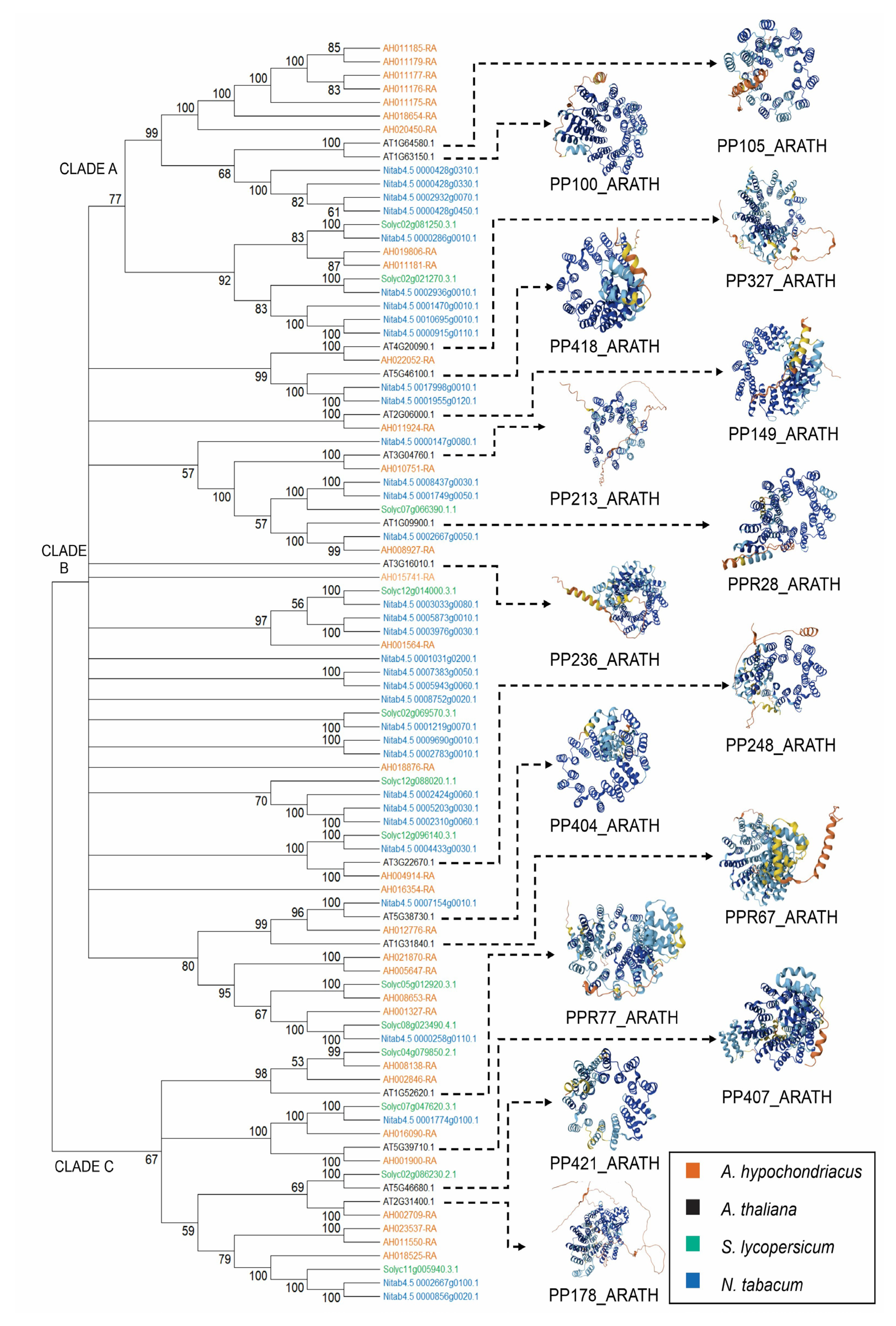 Plants 14 02757 g003 Plants 14 02757 g003