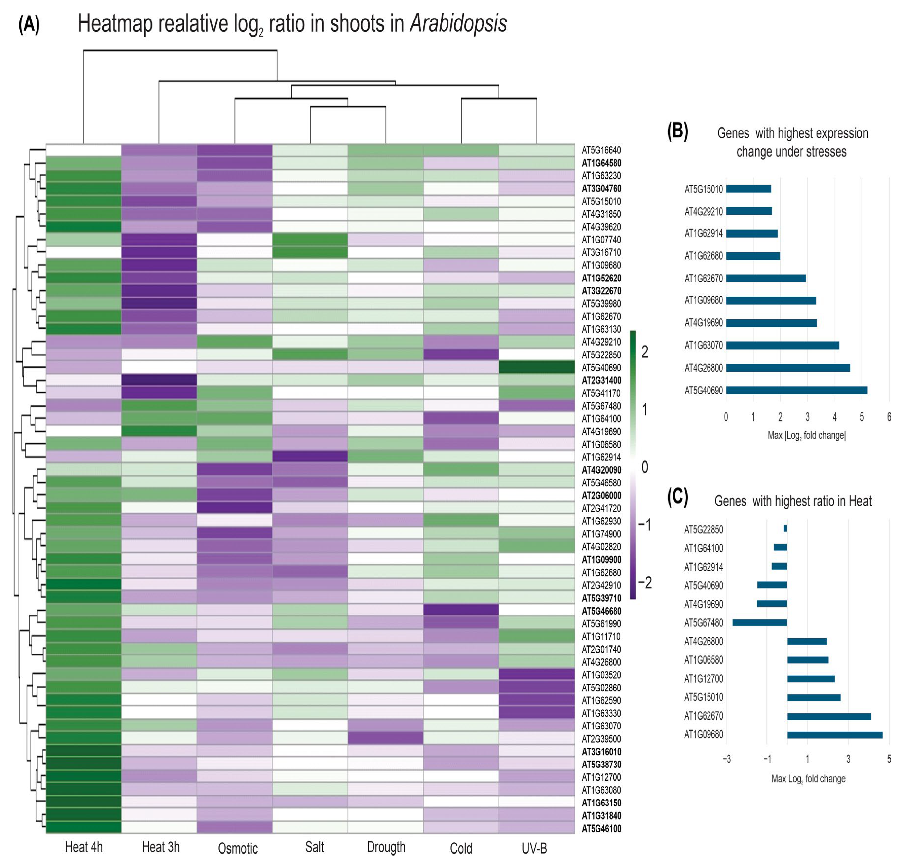 Plants 14 02757 g004 Plants 14 02757 g004