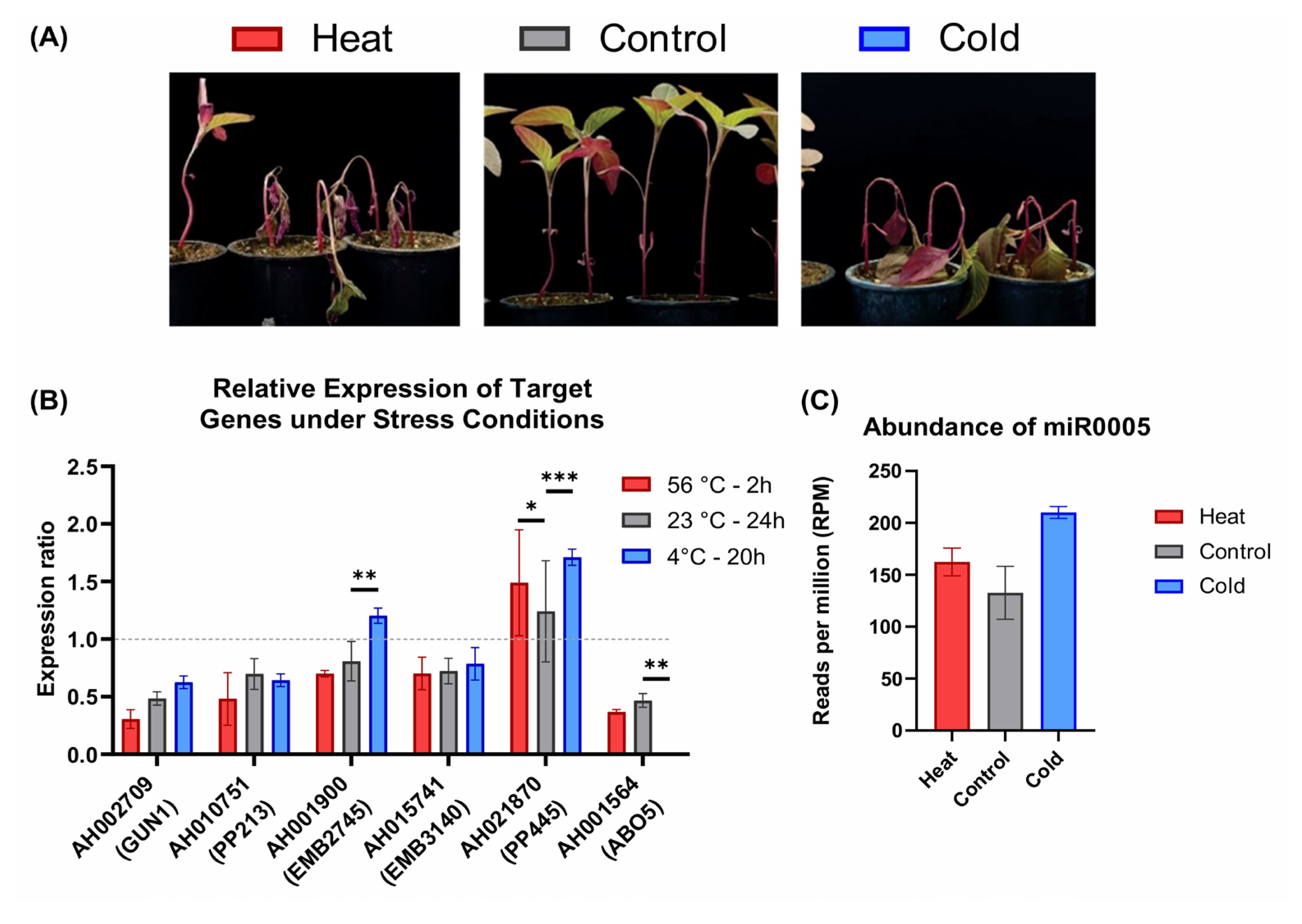 Plants 14 02757 g005 Plants 14 02757 g005