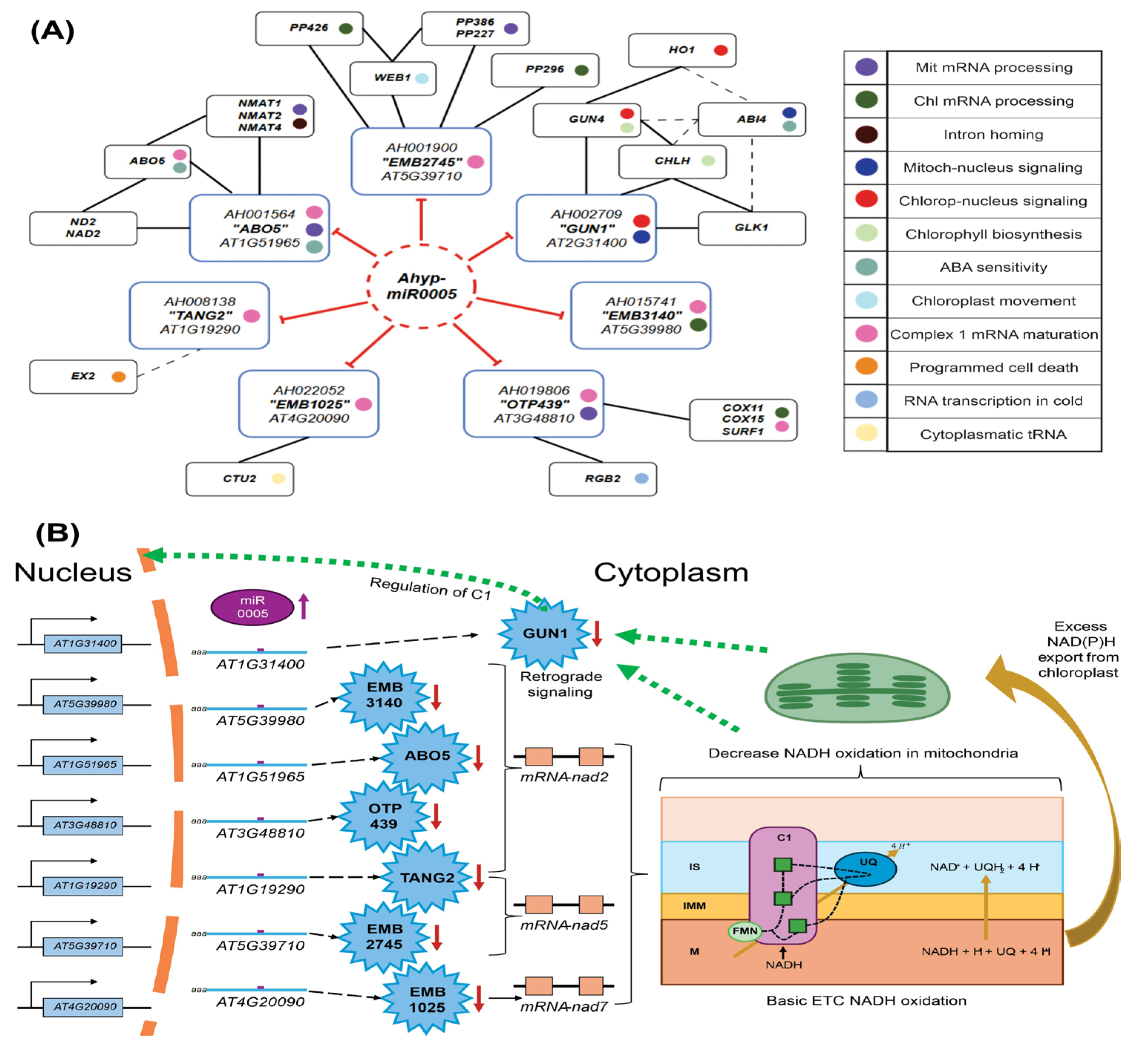 Plants 14 02757 g006 Plants 14 02757 g006
