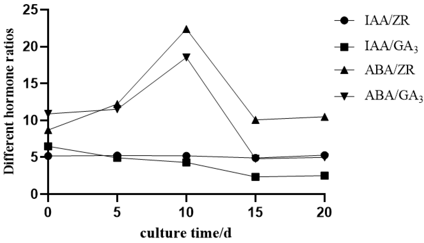 Plants 14 02761 g006 Plants 14 02761 g006