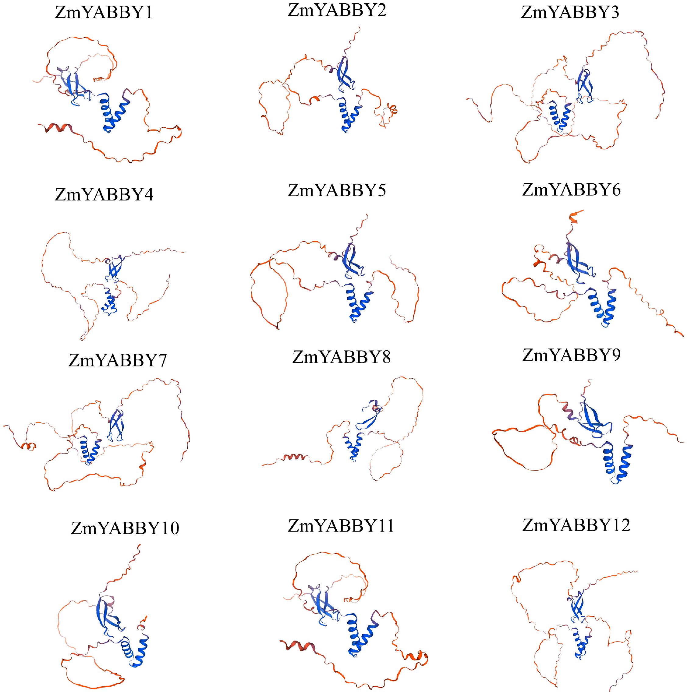 Plants 14 02763 g002