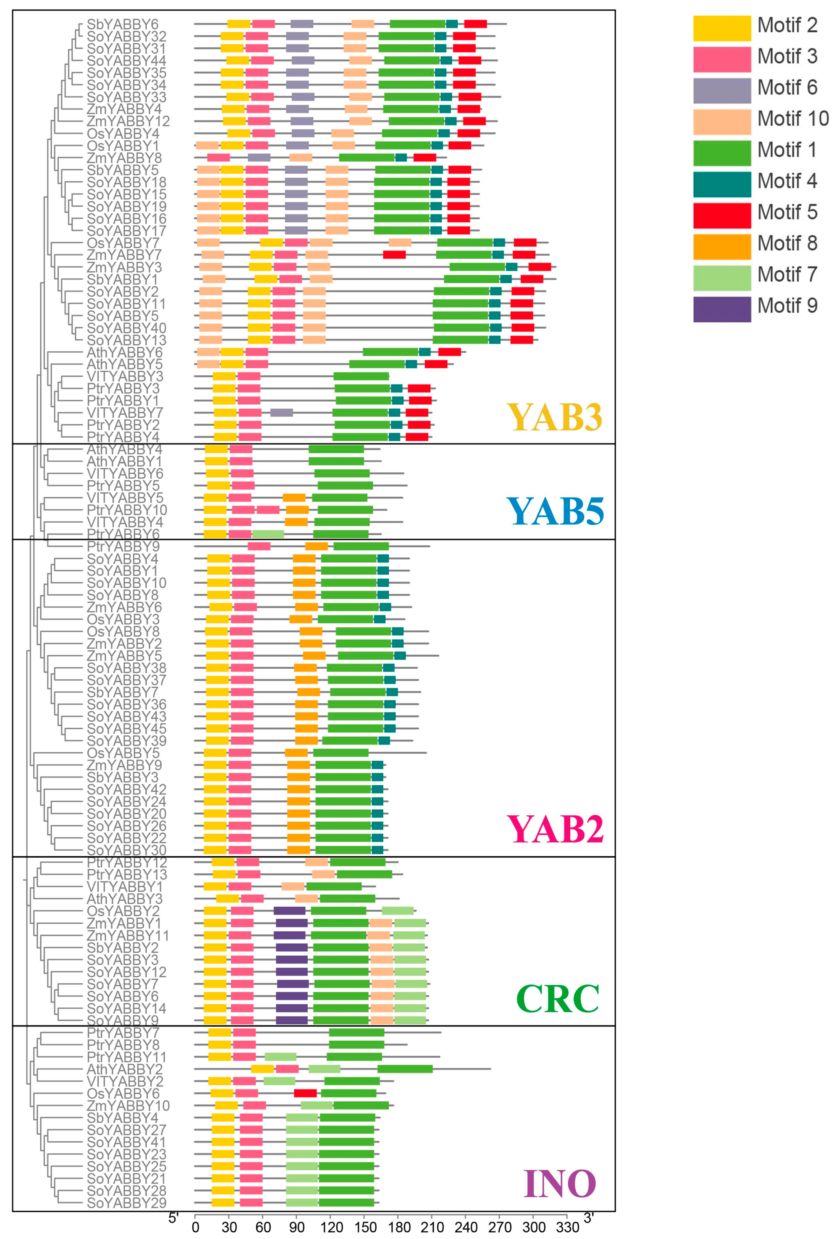Plants 14 02763 g004
