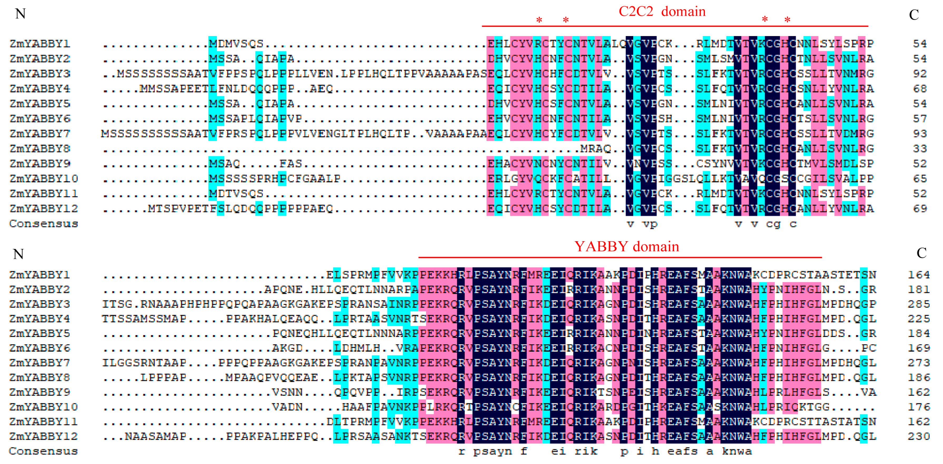 Plants 14 02763 g005