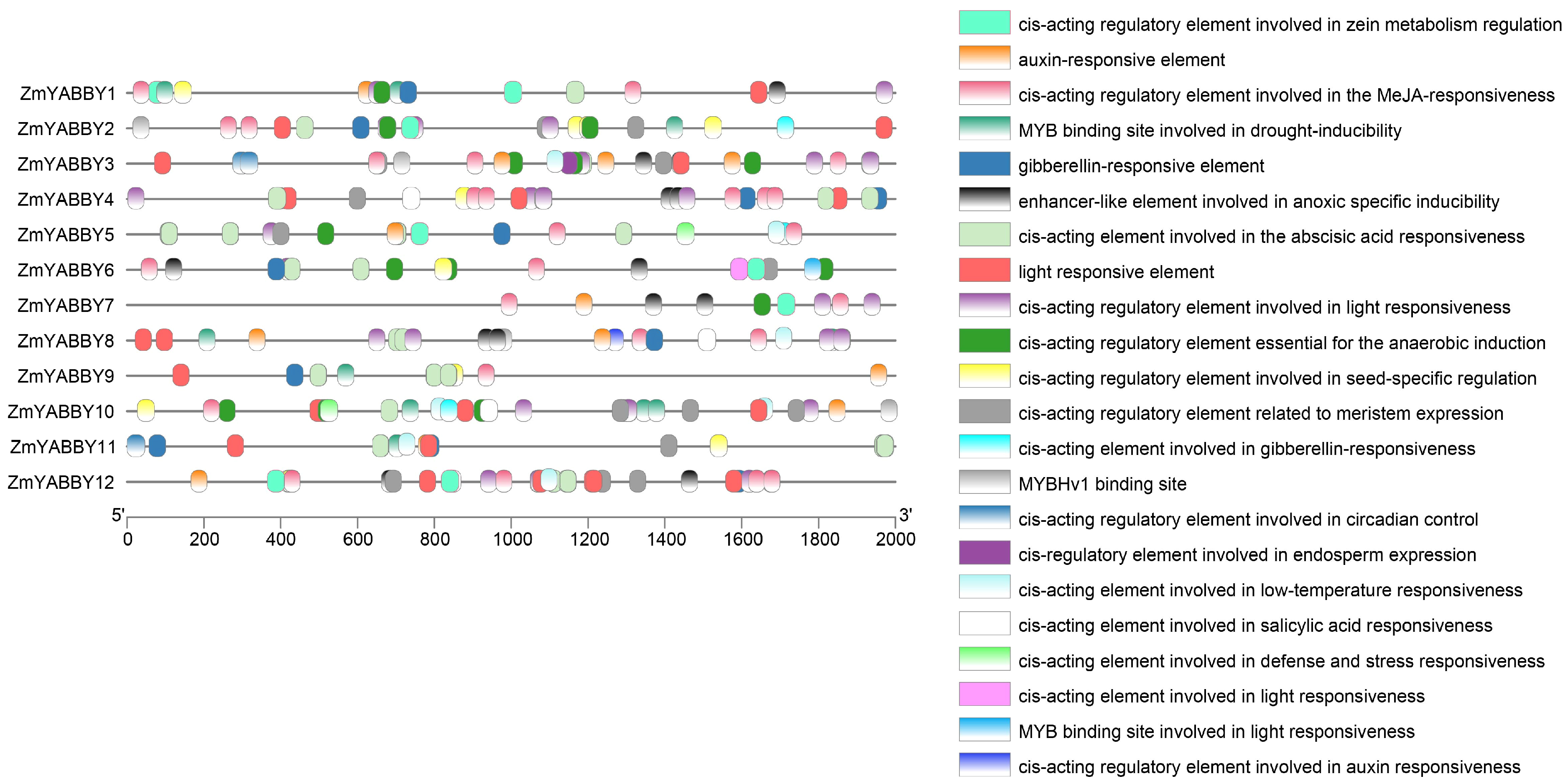 Plants 14 02763 g007