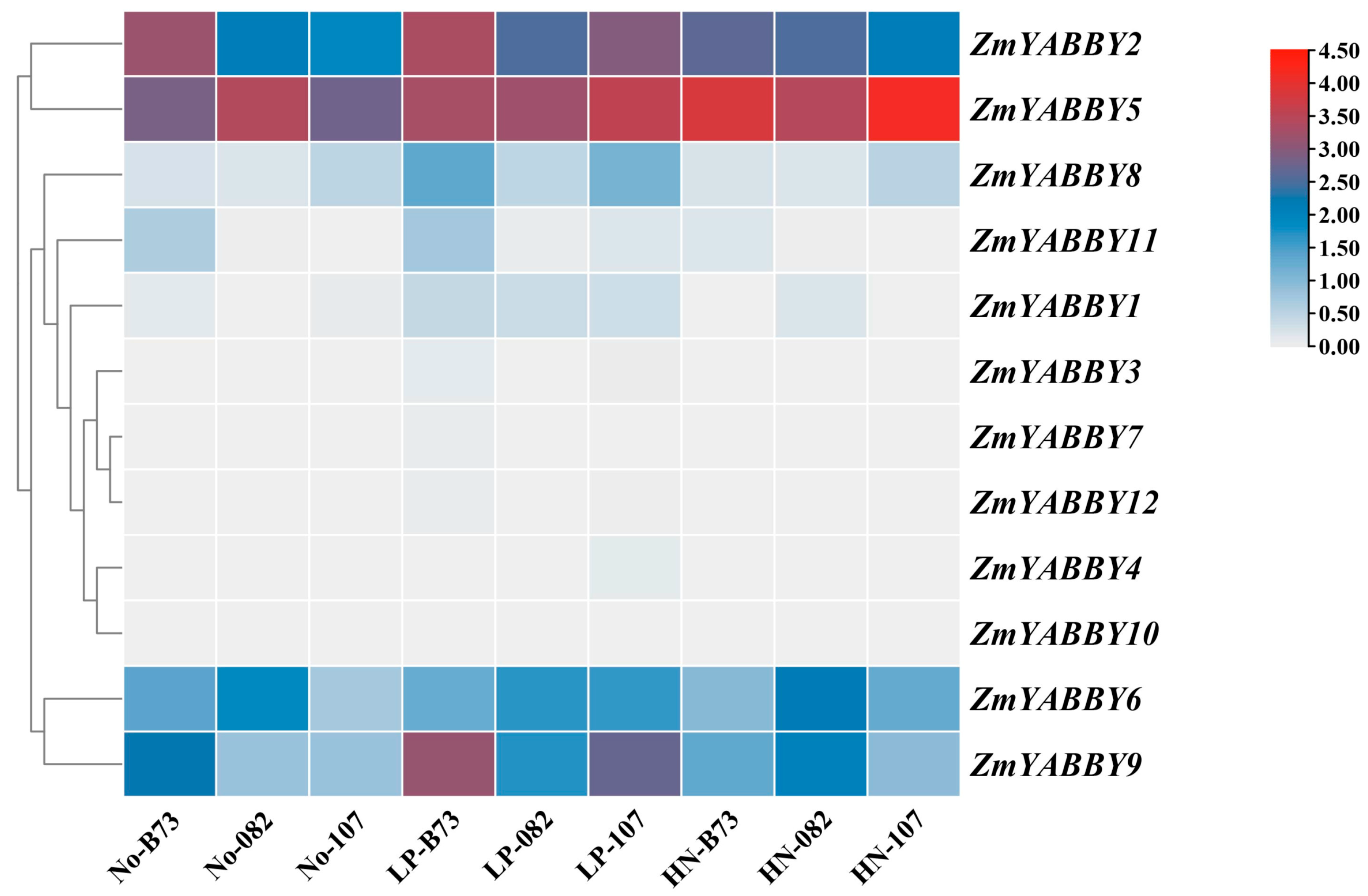 Plants 14 02763 g010