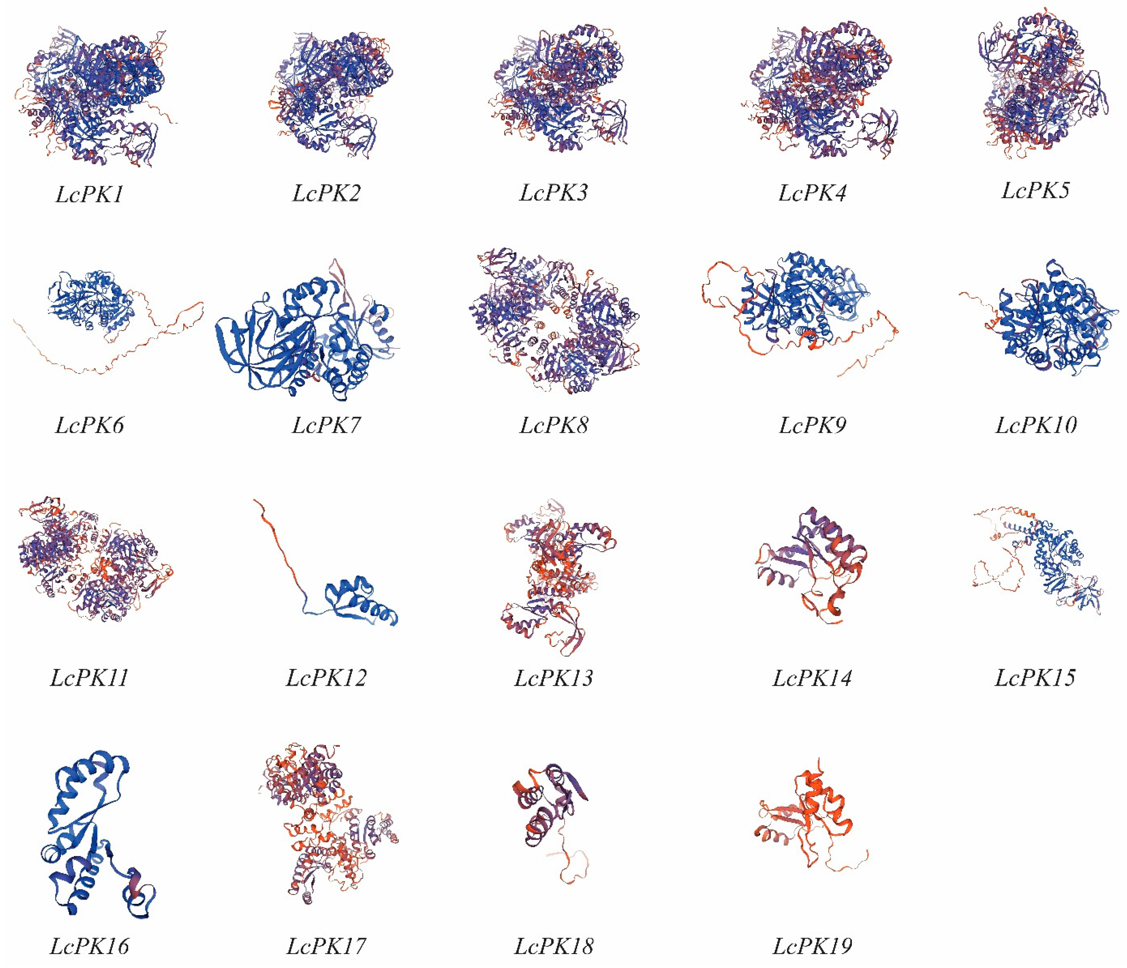 Plants 14 02764 g002 Plants 14 02764 g002