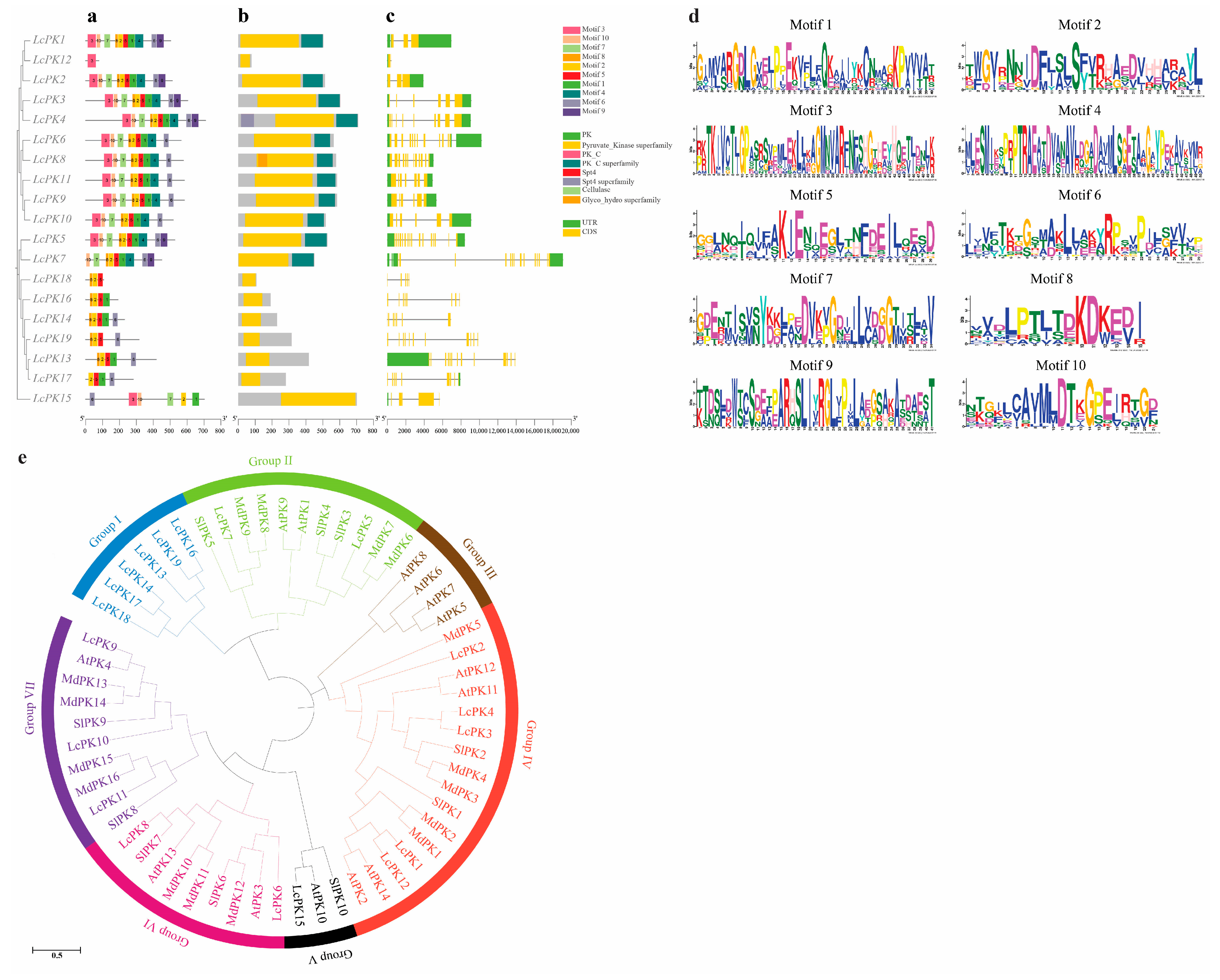 Plants 14 02764 g003 Plants 14 02764 g003